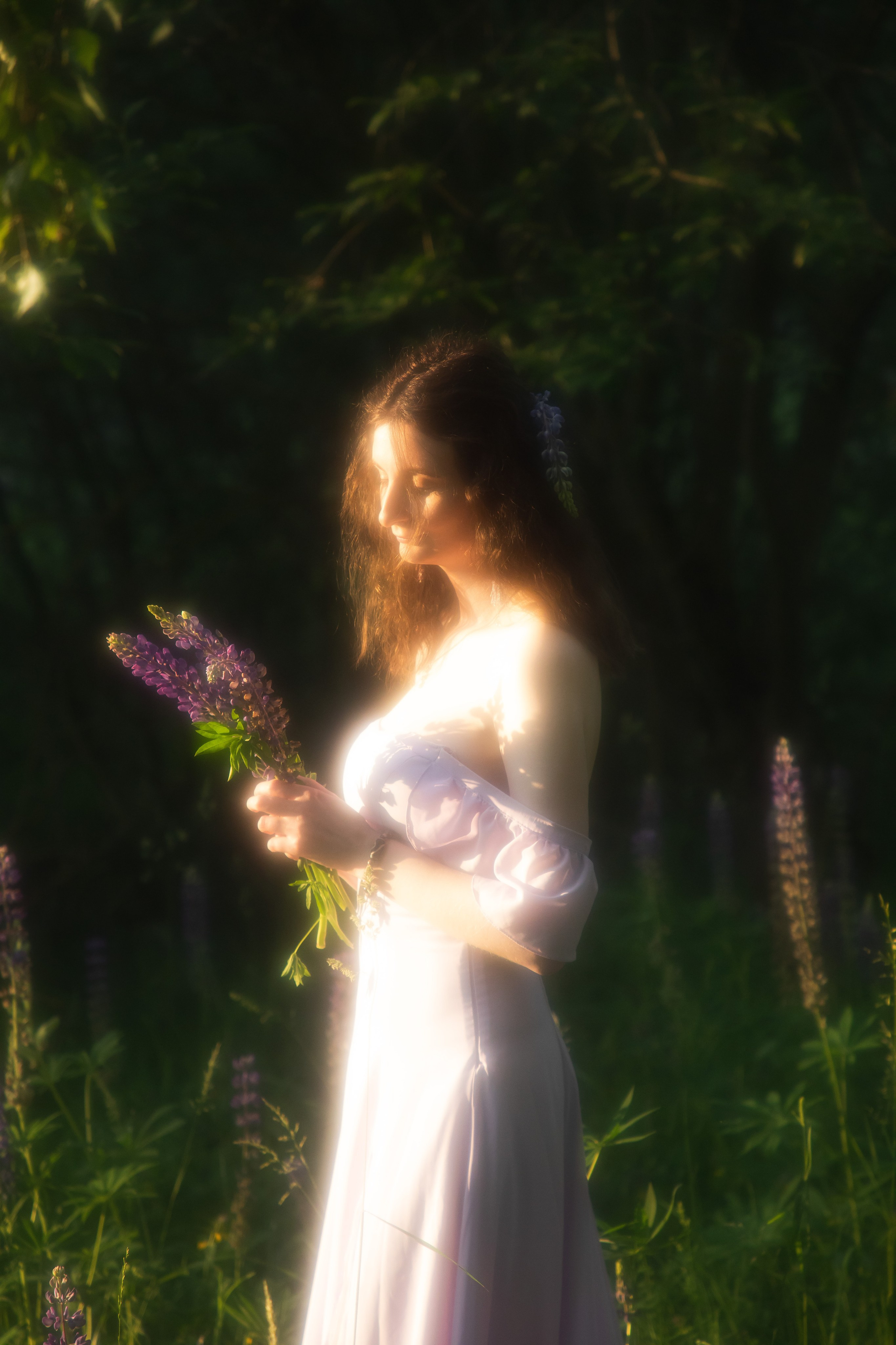 Люпиновое поле. Юлия Башкатова, сказочный фотограф, Москва