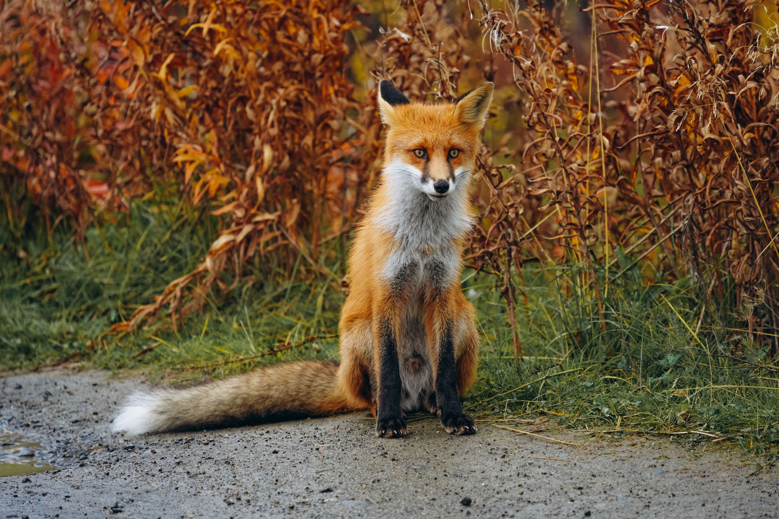 СЕВЕР. Event фотограф Степанова Александра