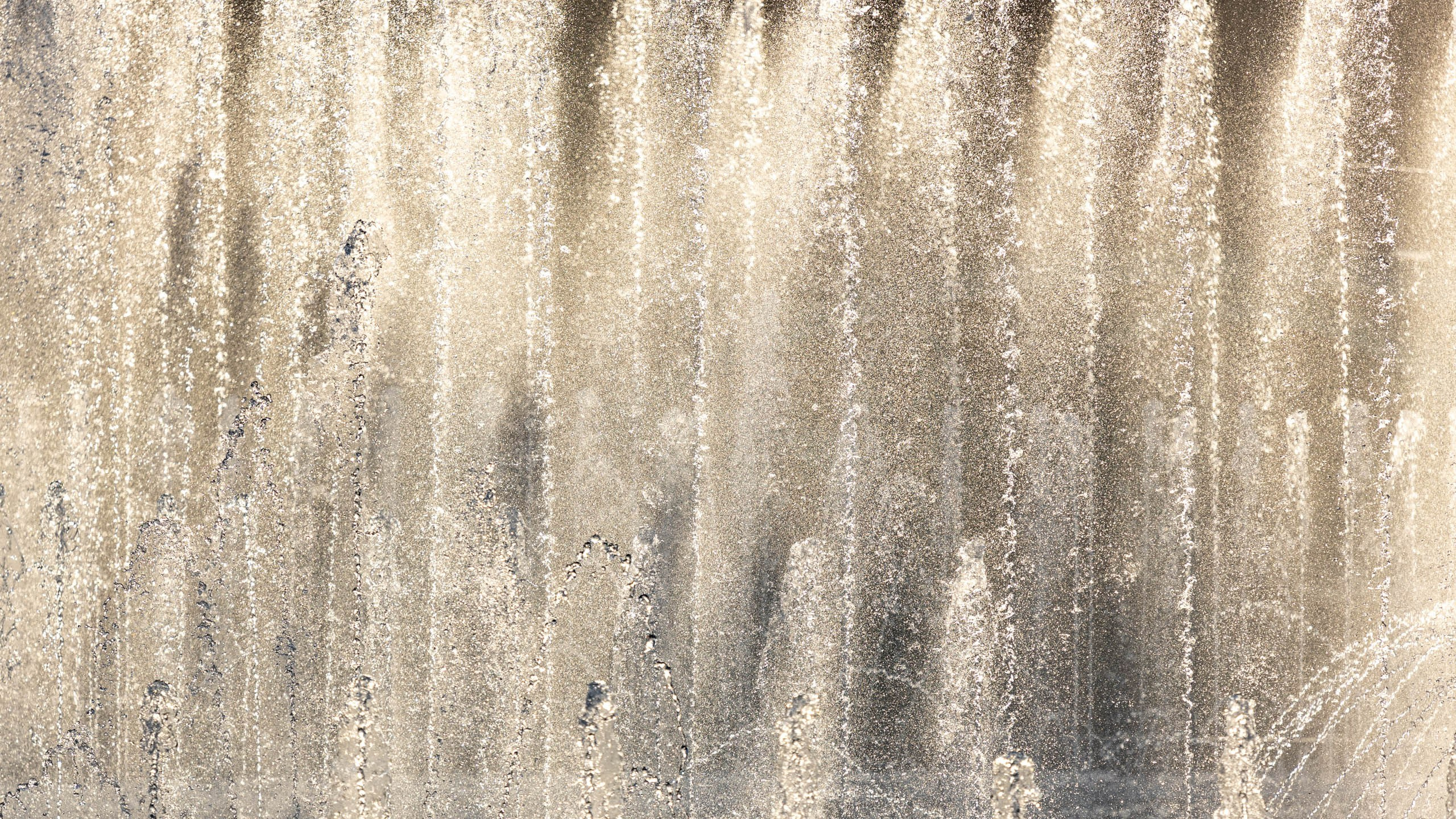 2023 09 Царицыно. Фотографии