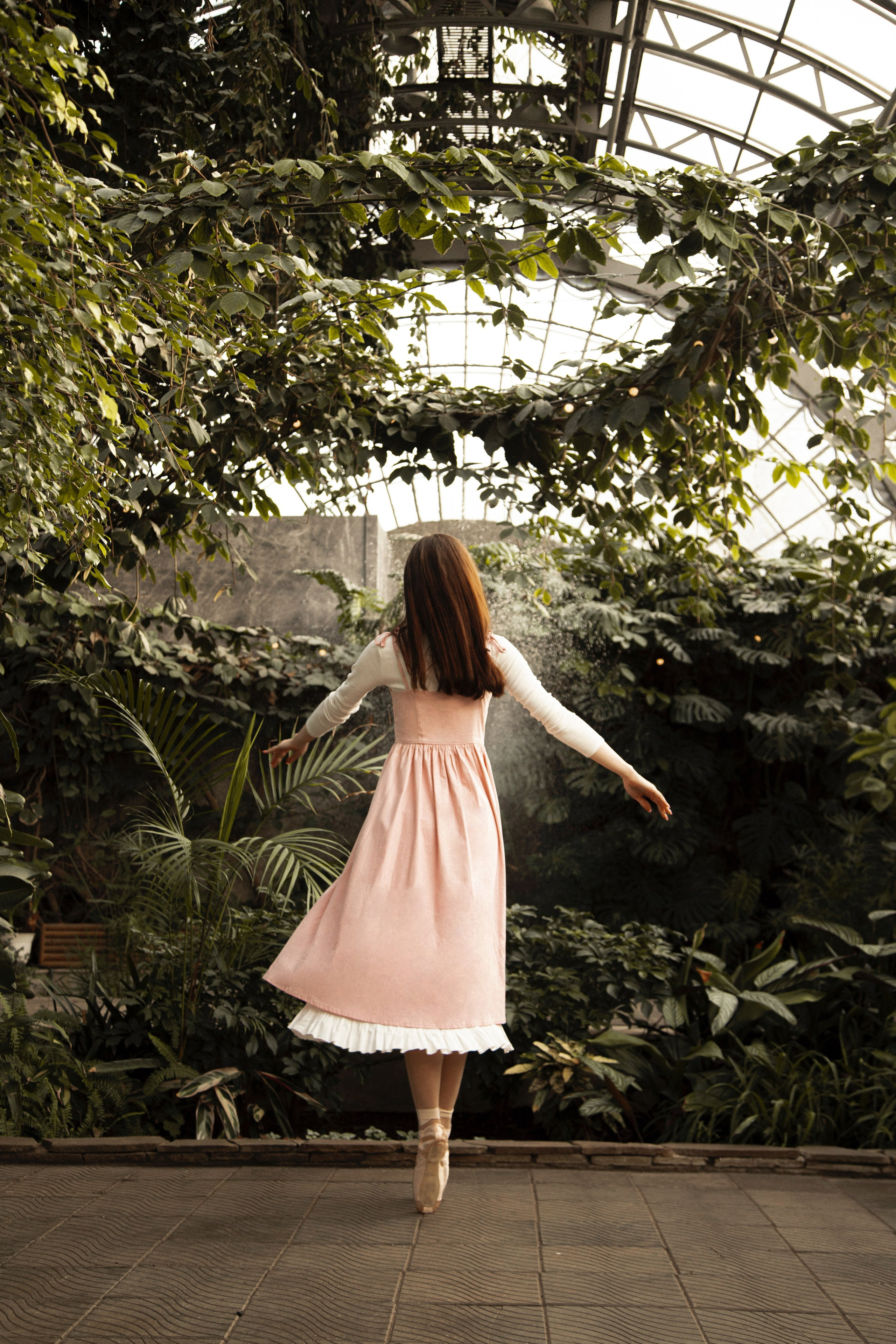 Оранжерея Таврического сада