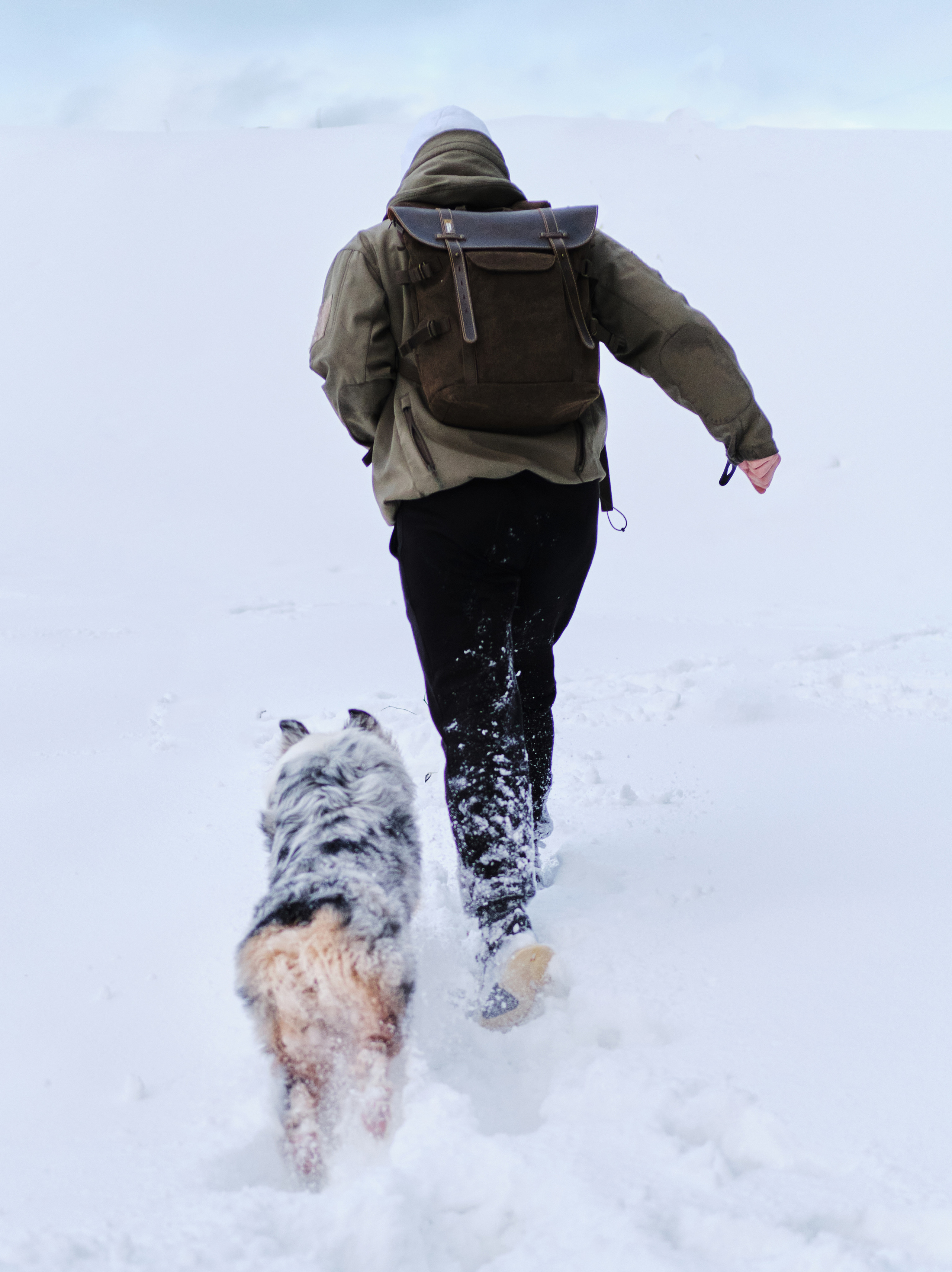 Фото с животными. Фотограф в Москве — Галунина Кристина
