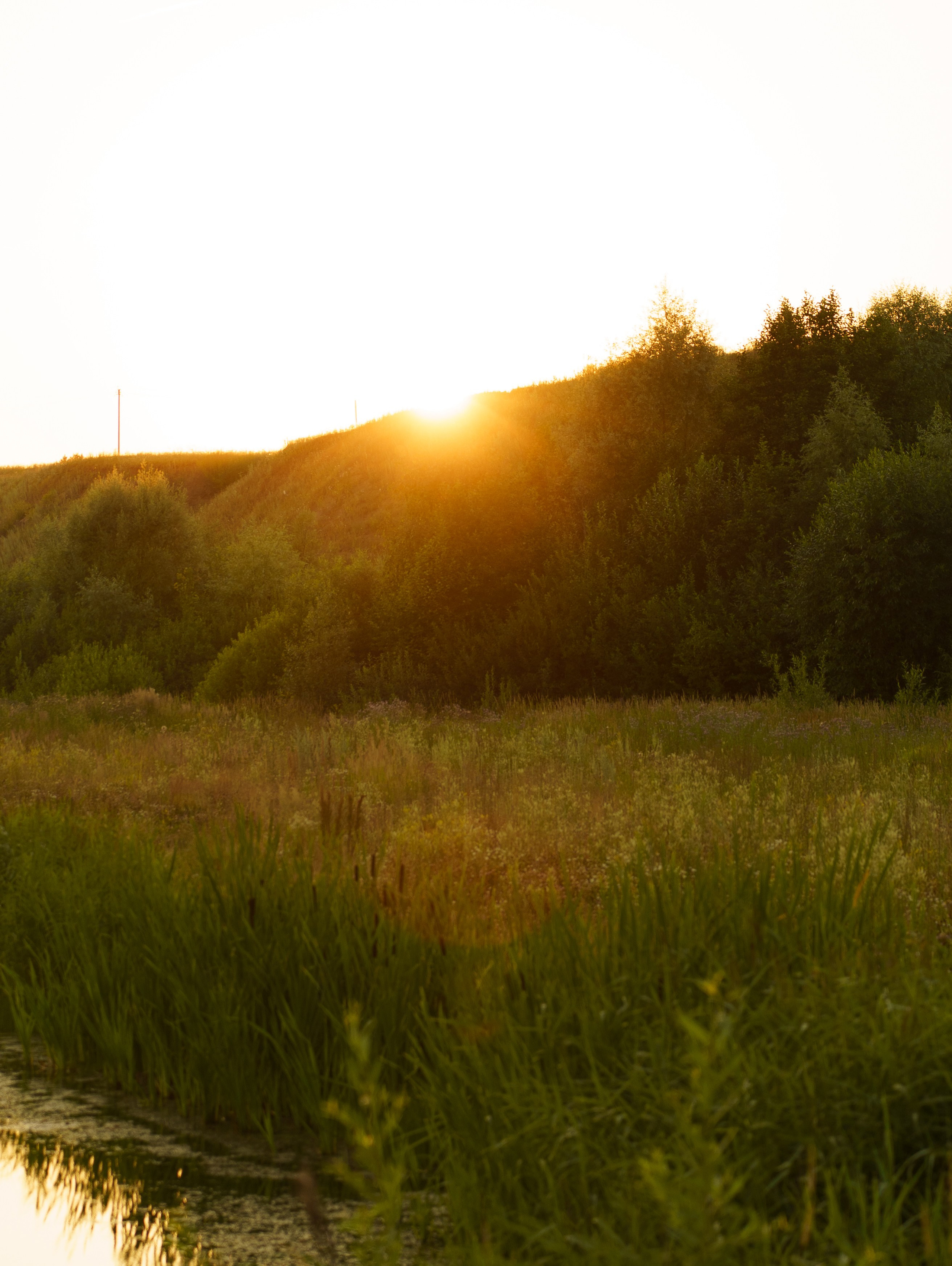 Елена. Елена Симонова