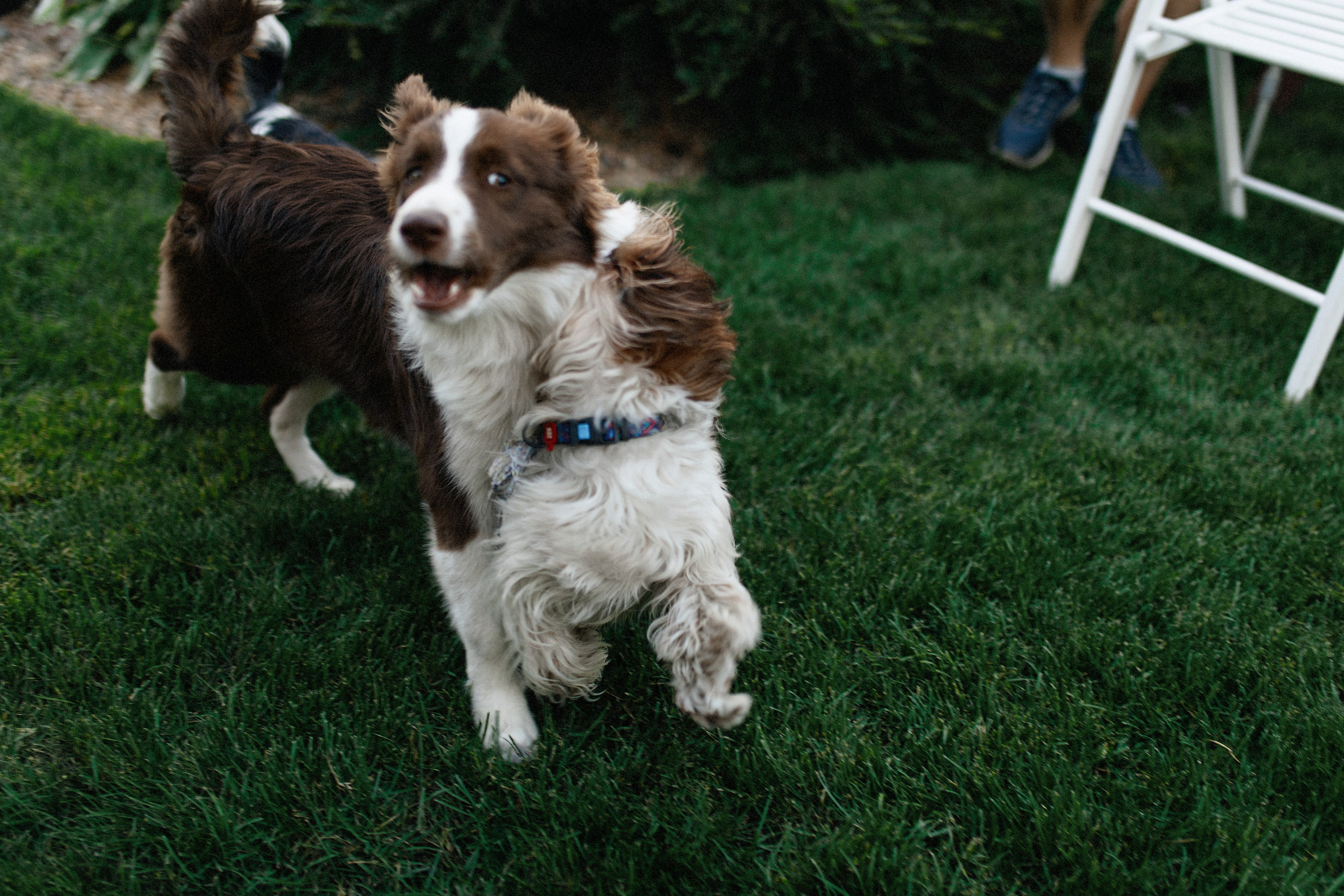 Алиса и Андрей. Катя Завьялова