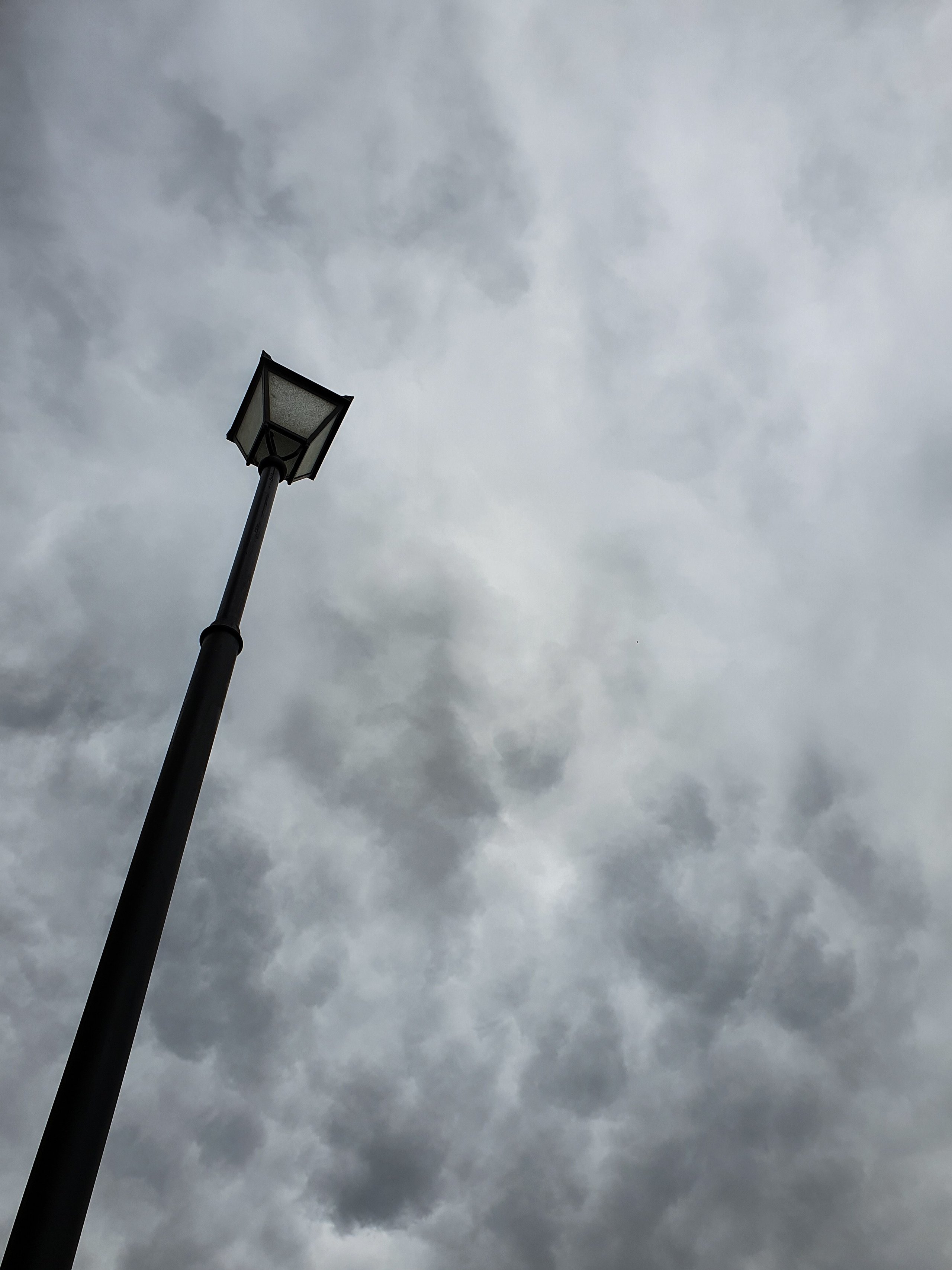 ЖИВЫЕ ГОРОДА. Любовь Моргасова [LU SPRING]: Фотограф и куратор