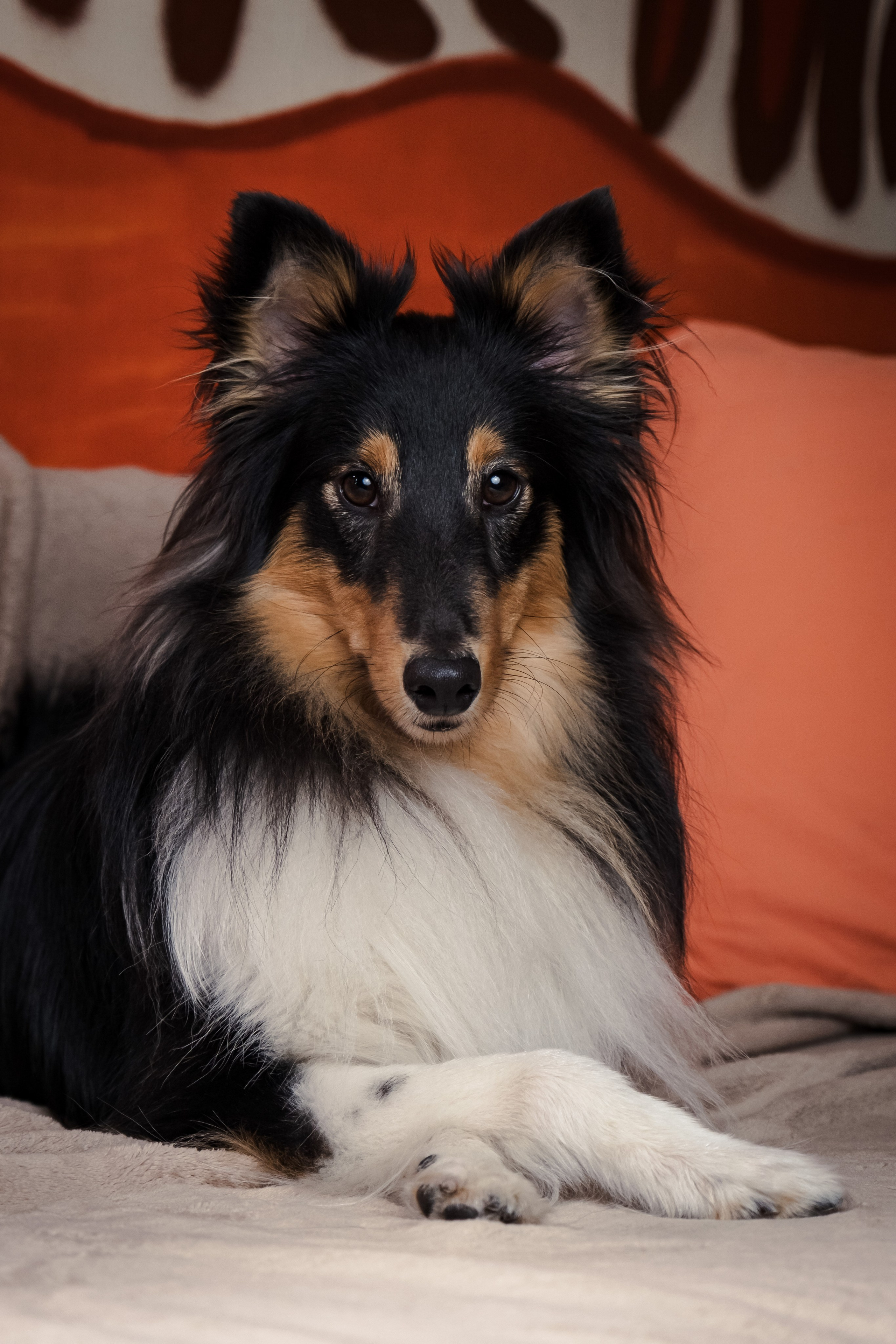 Портретная съёмка. Фотограф и оператор Илья Гунбин