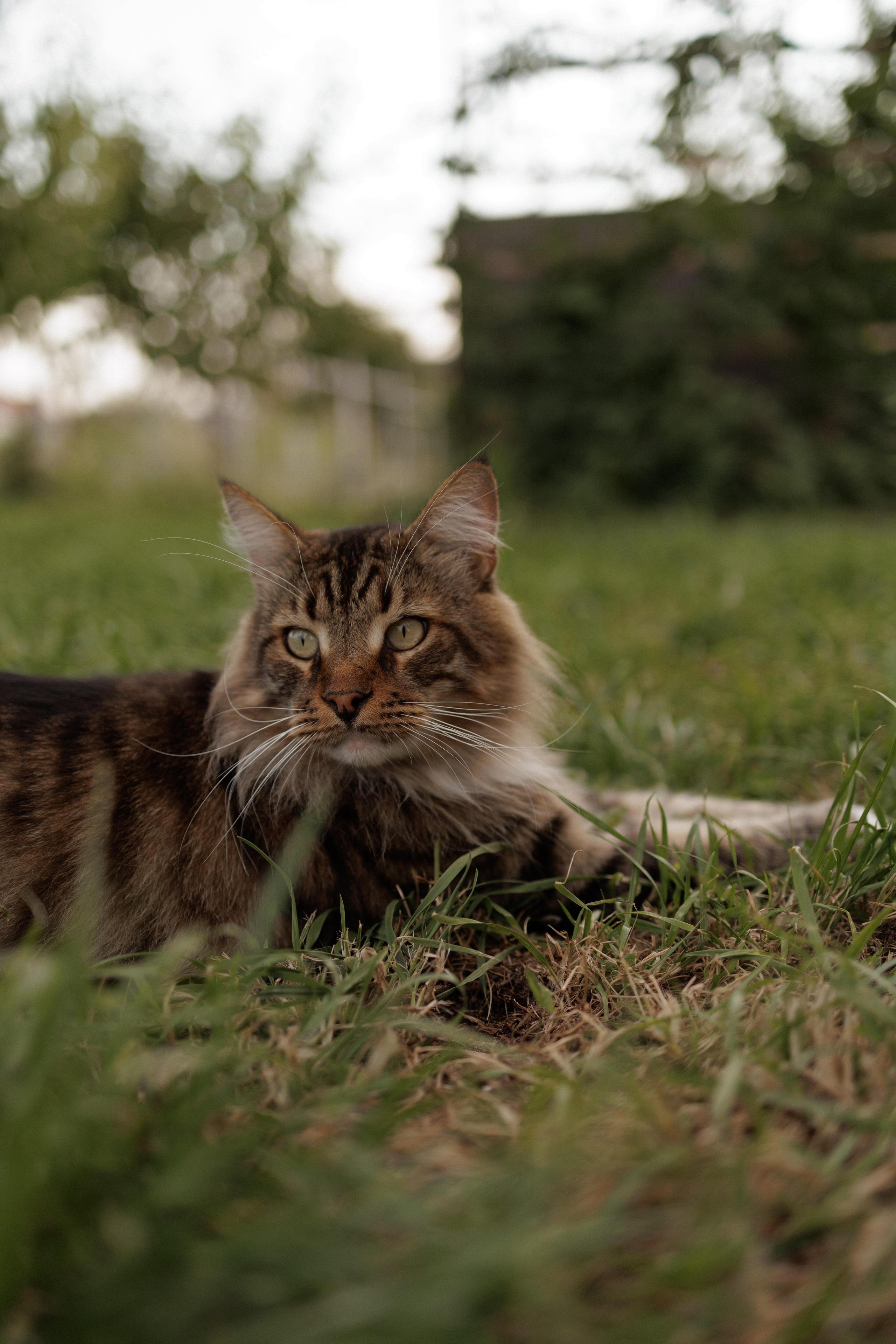 На закате одного прекрасного вечера. Фотограф Софья Гречка
