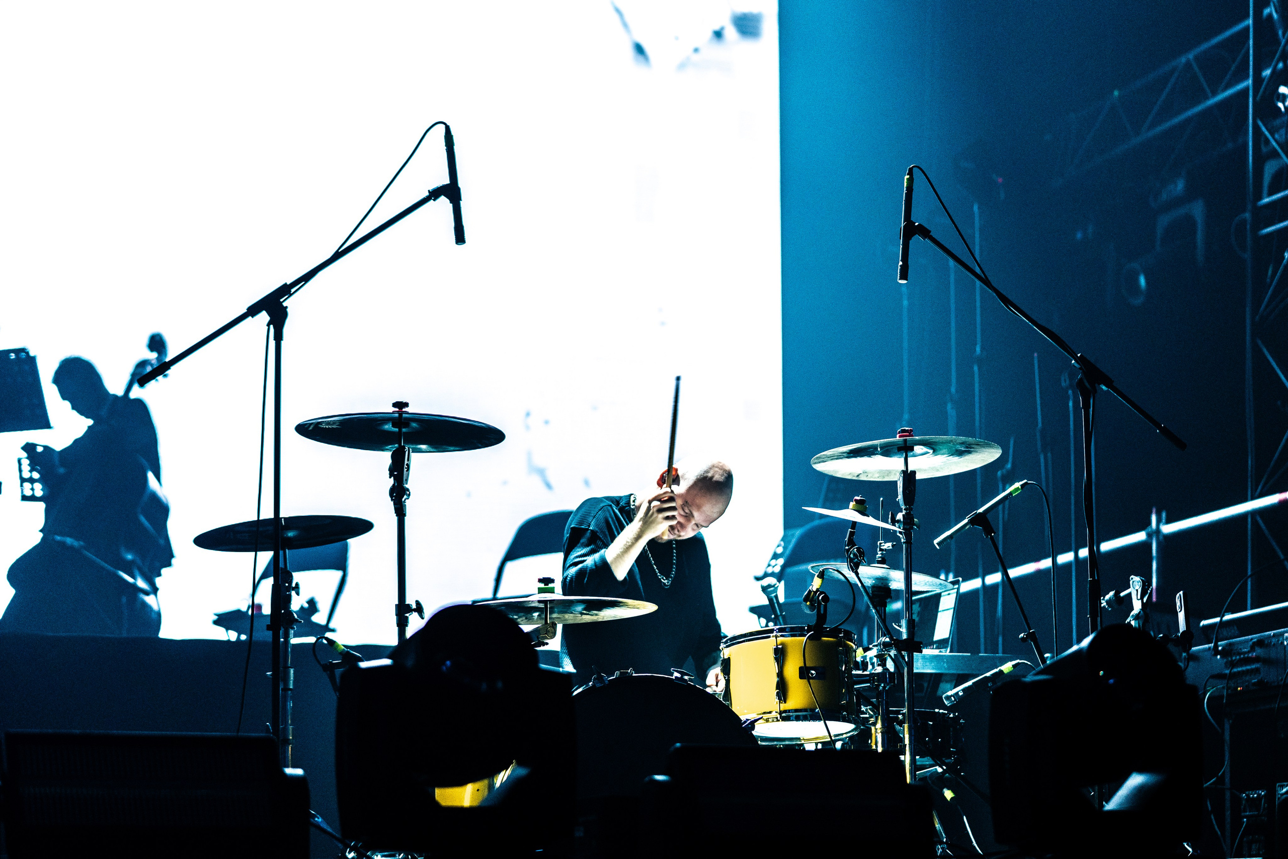 MARKUL, SALUKI, FRIENDLY THUG — RUSSIAN MUSIC PRO. Kuzmin photographer