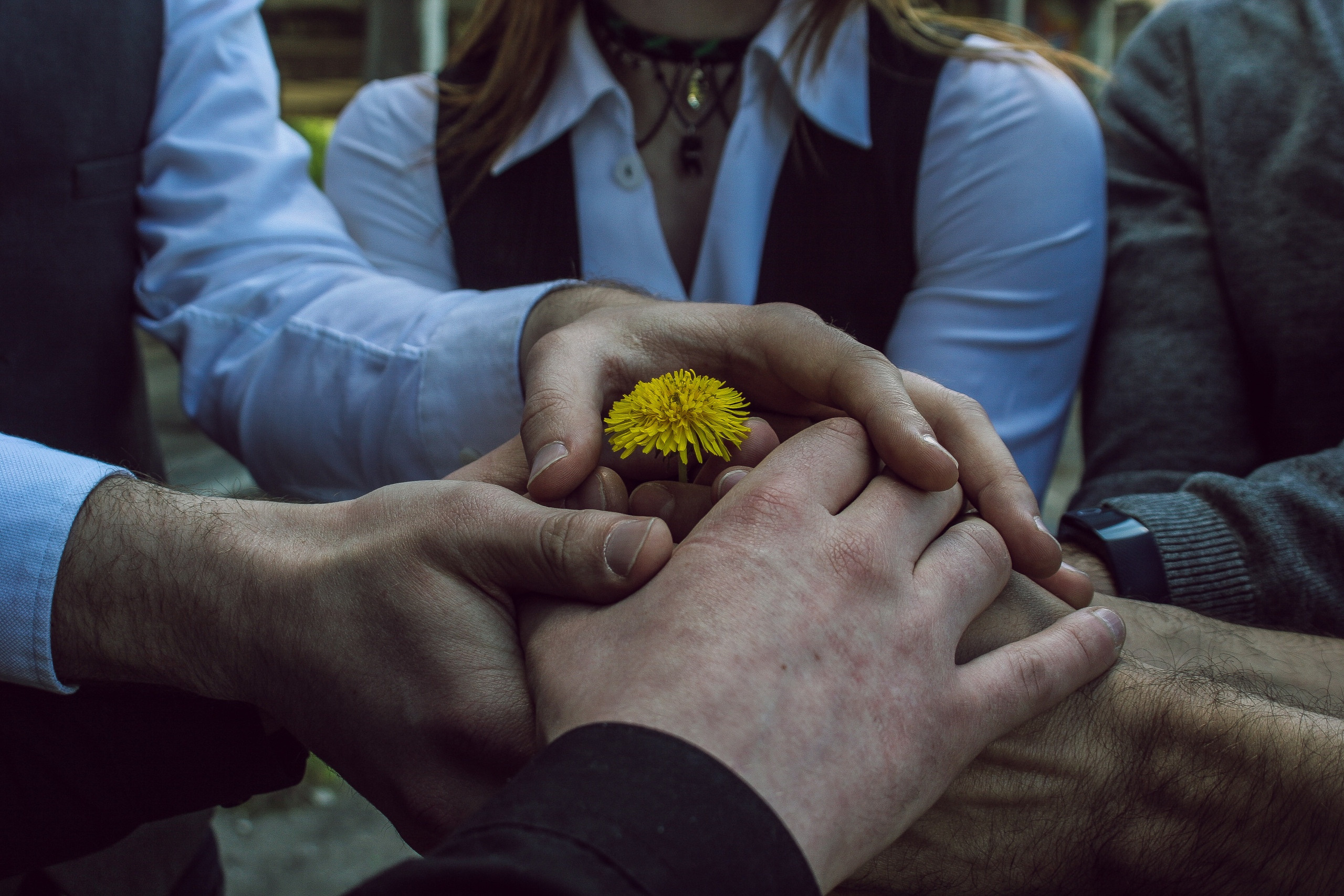 Фотограф Ellairen