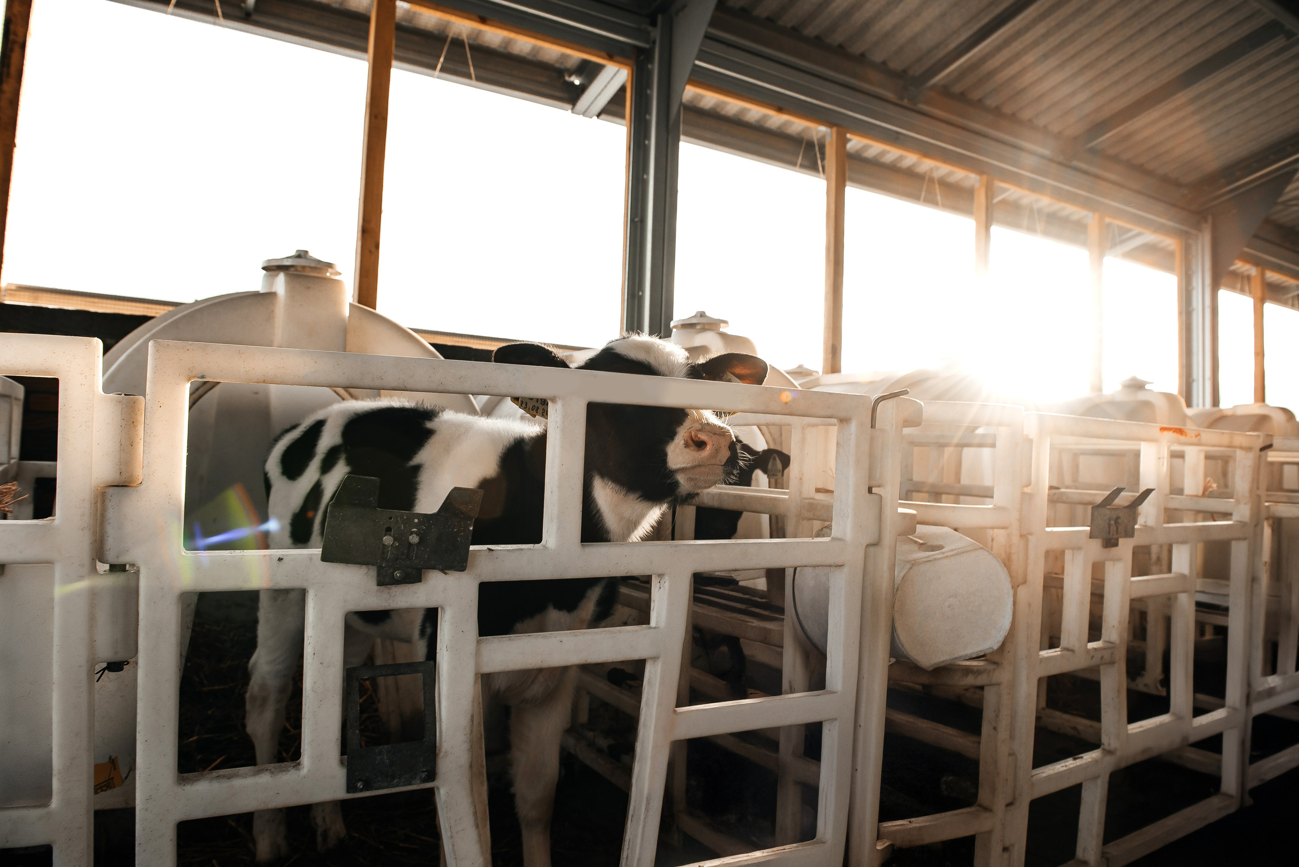 Хорошее дело I Дубенки. Фотограф в Республике Мордовия София Сержантова