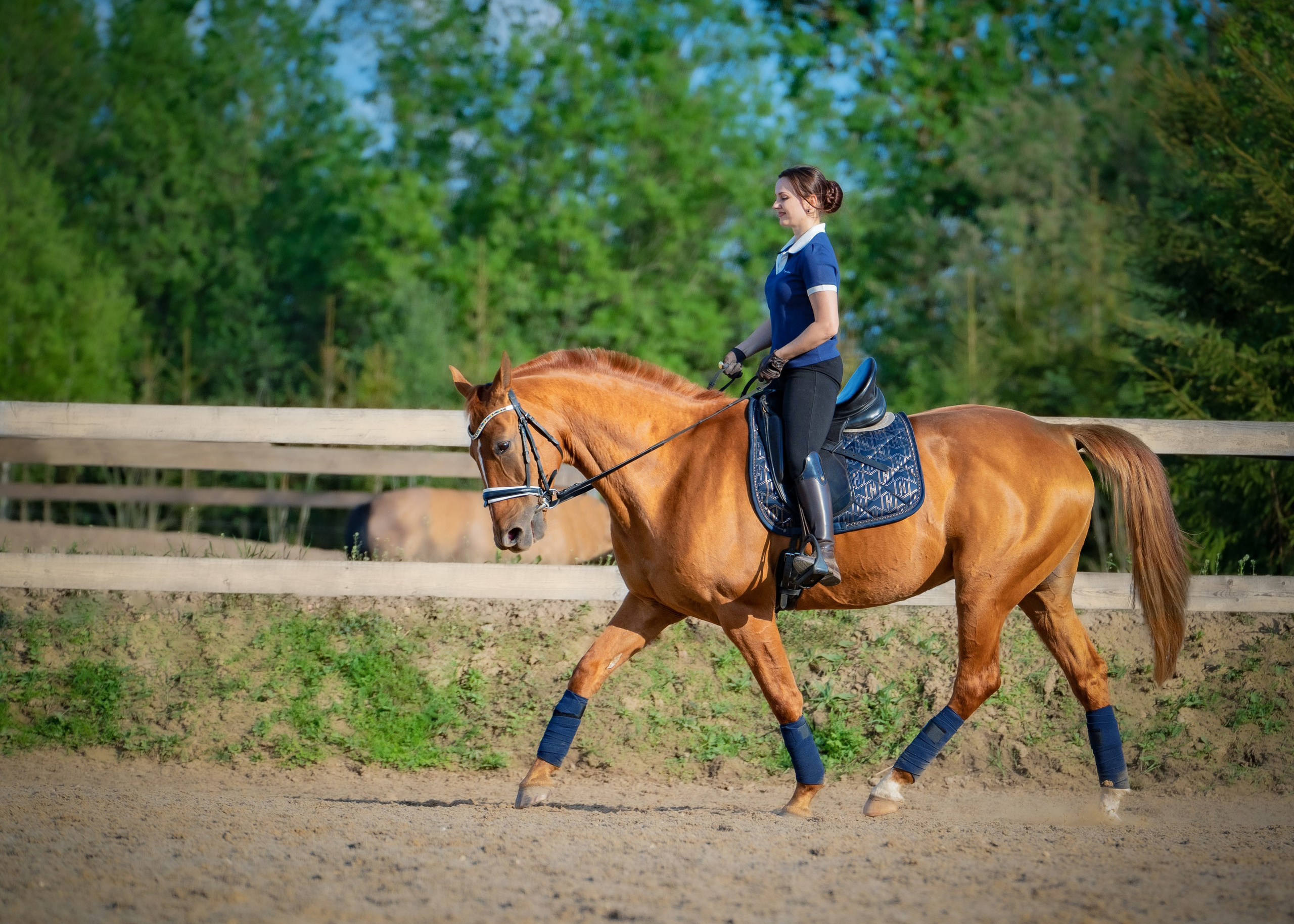 Тренировка. Фотограф Дарья Соколовская