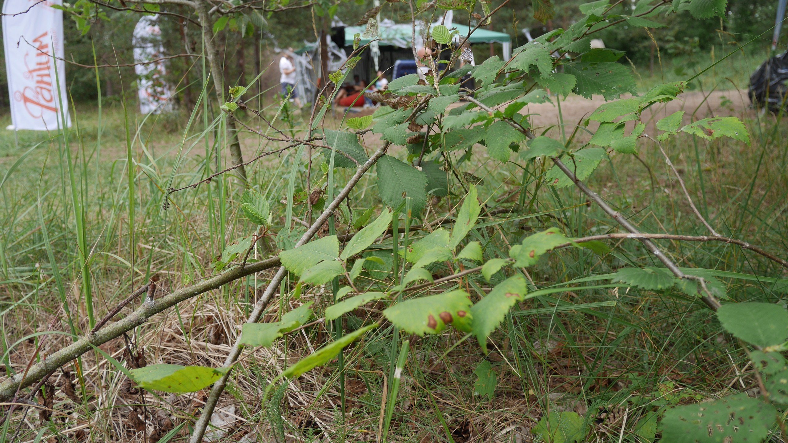 Походная романтика 28! Шабаш | 13-15.07.2018. Галерея Фантим