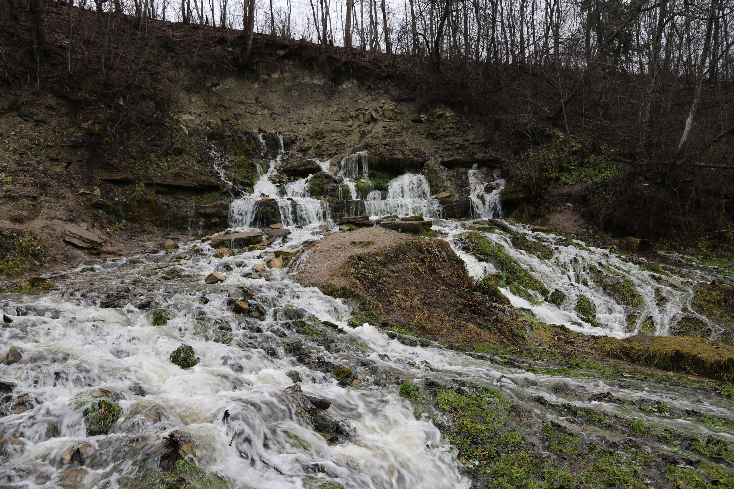Псков | 18-20.11.2016. Галерея Фантим