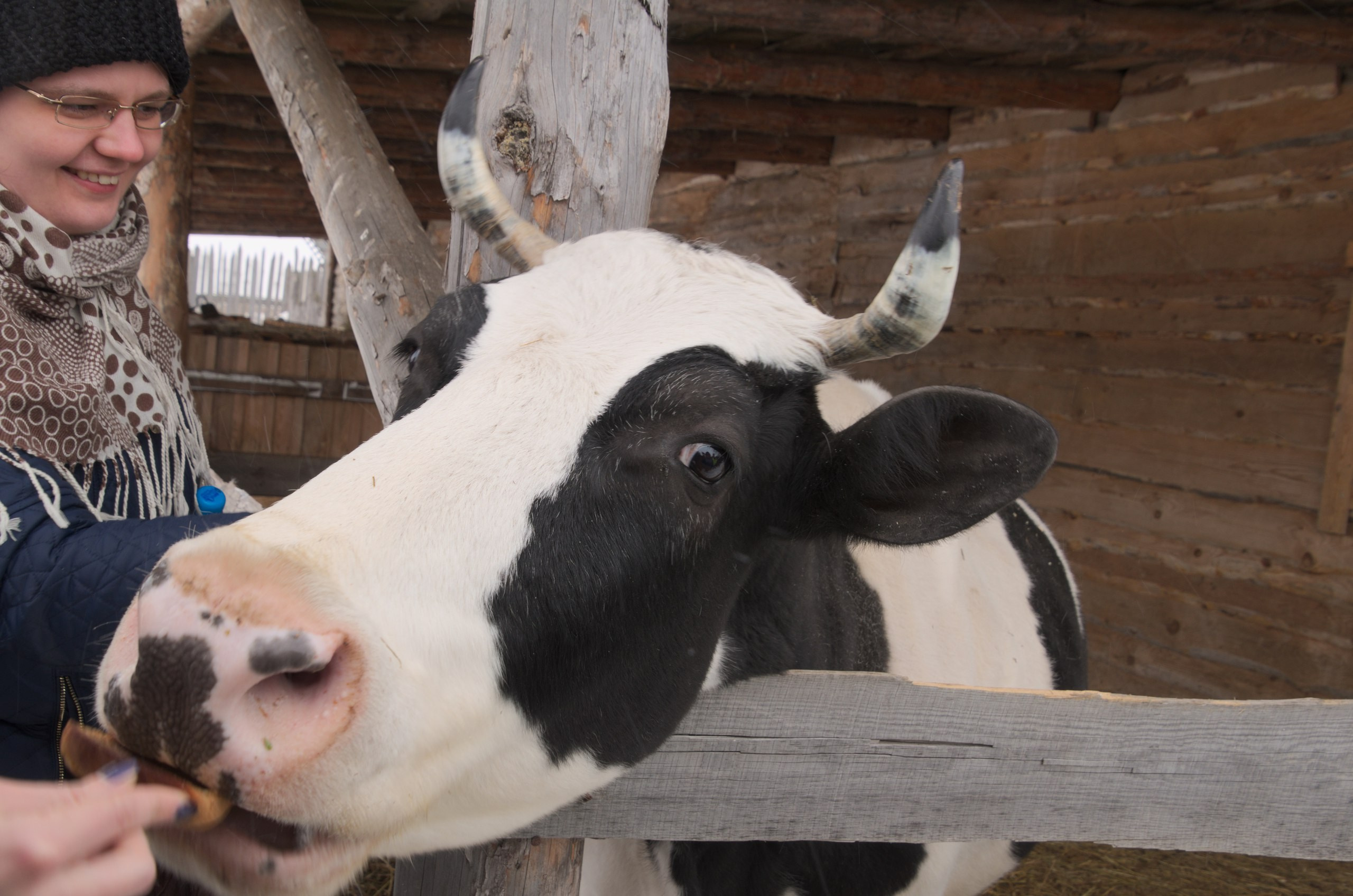 Владимир+Суздаль | 18-19.02.2017. Галерея Фантим