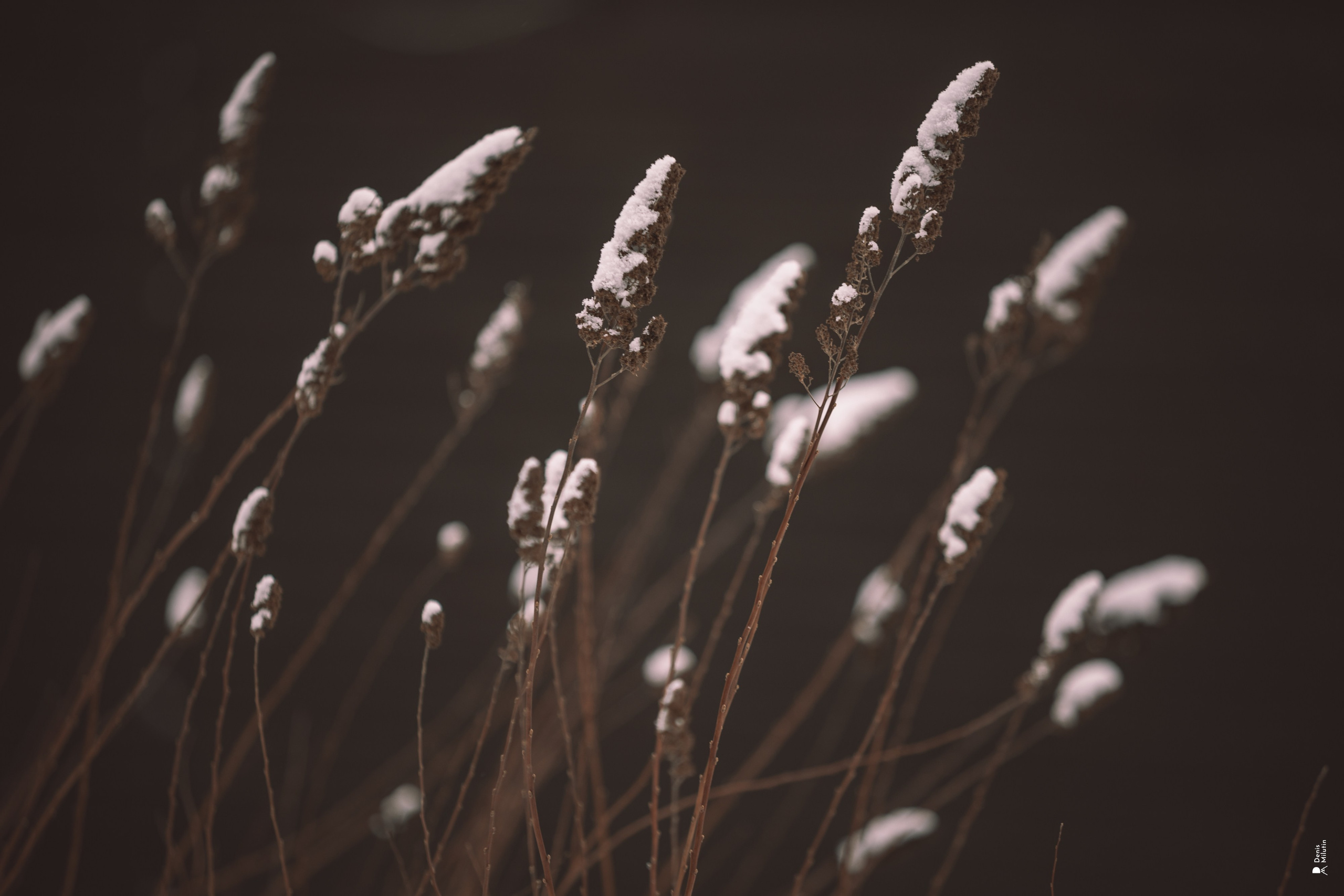 Прогулка по озеру. Портретный фотограф Денис Милютин