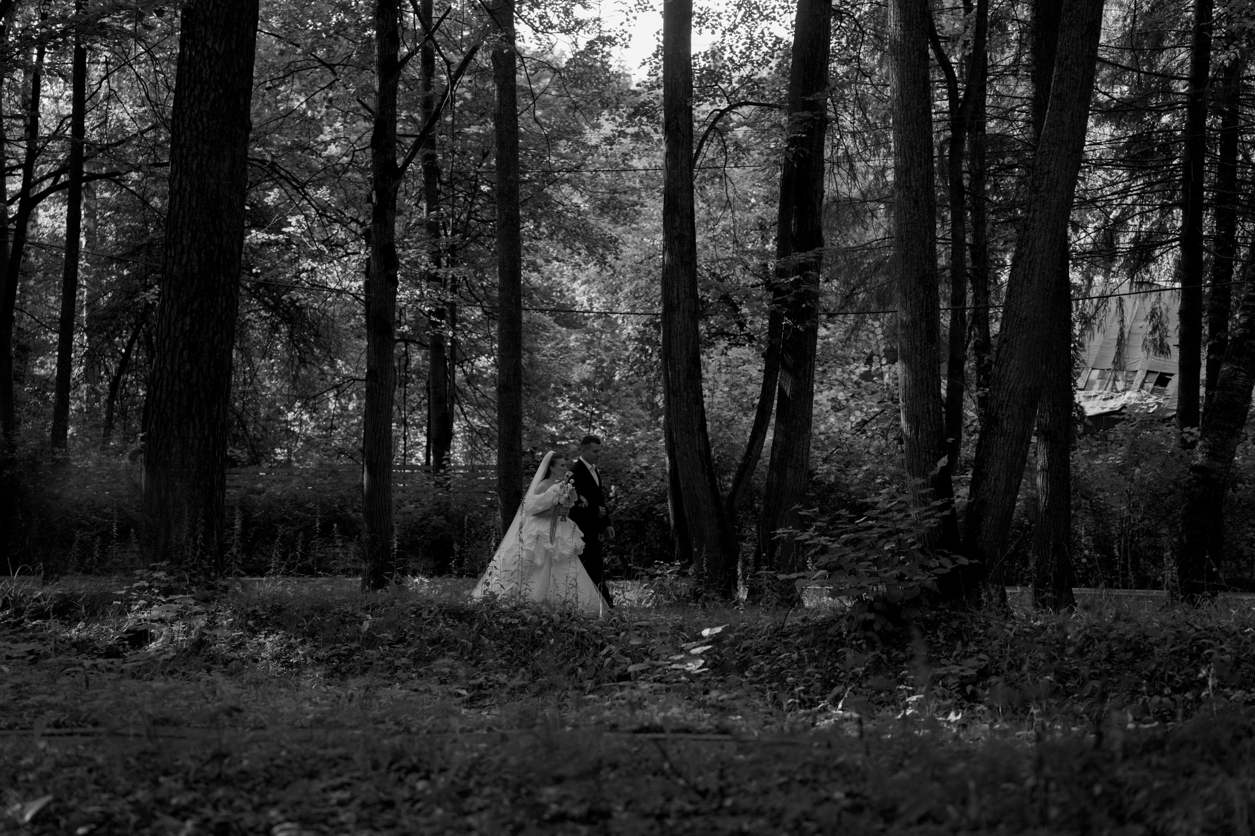 Лес Ивент хаус. Свадебный фотограф Губина Марина