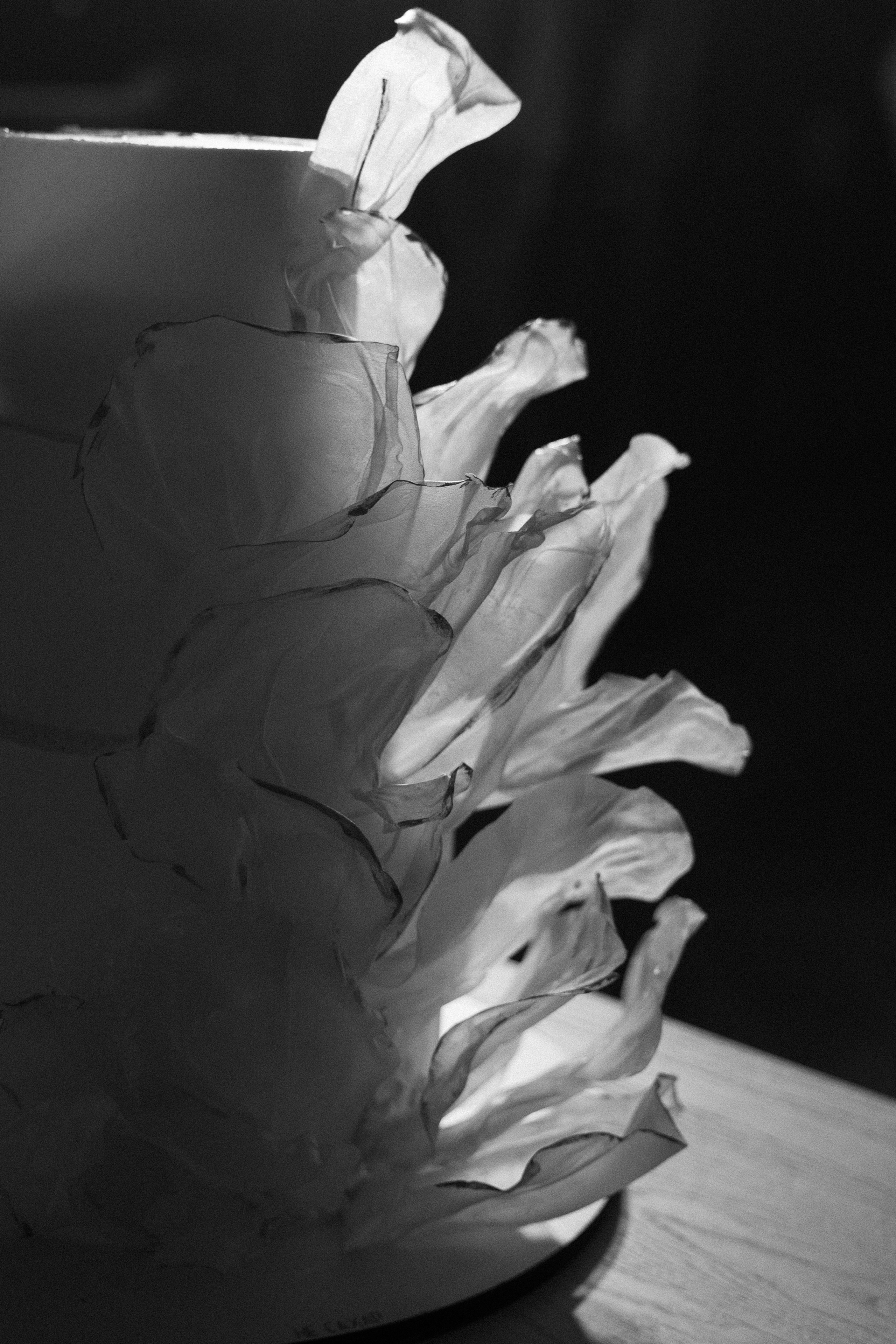 D|V. Свадебный фотограф Таня Караисаева