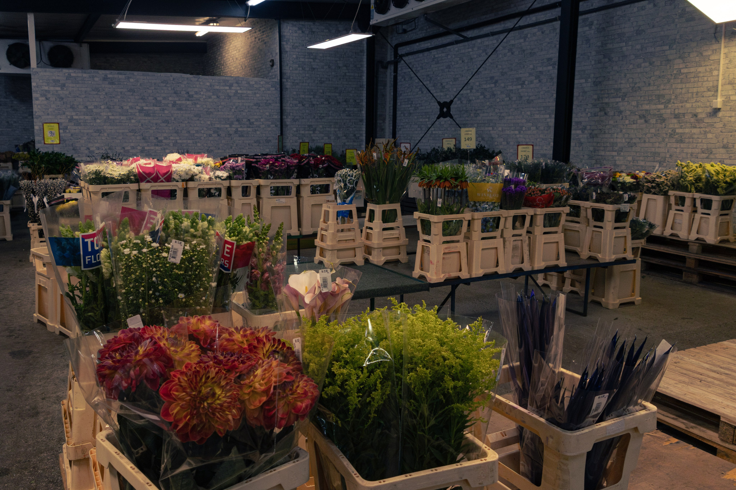 Flower warehouse. Фотограф Дарья Карпенко