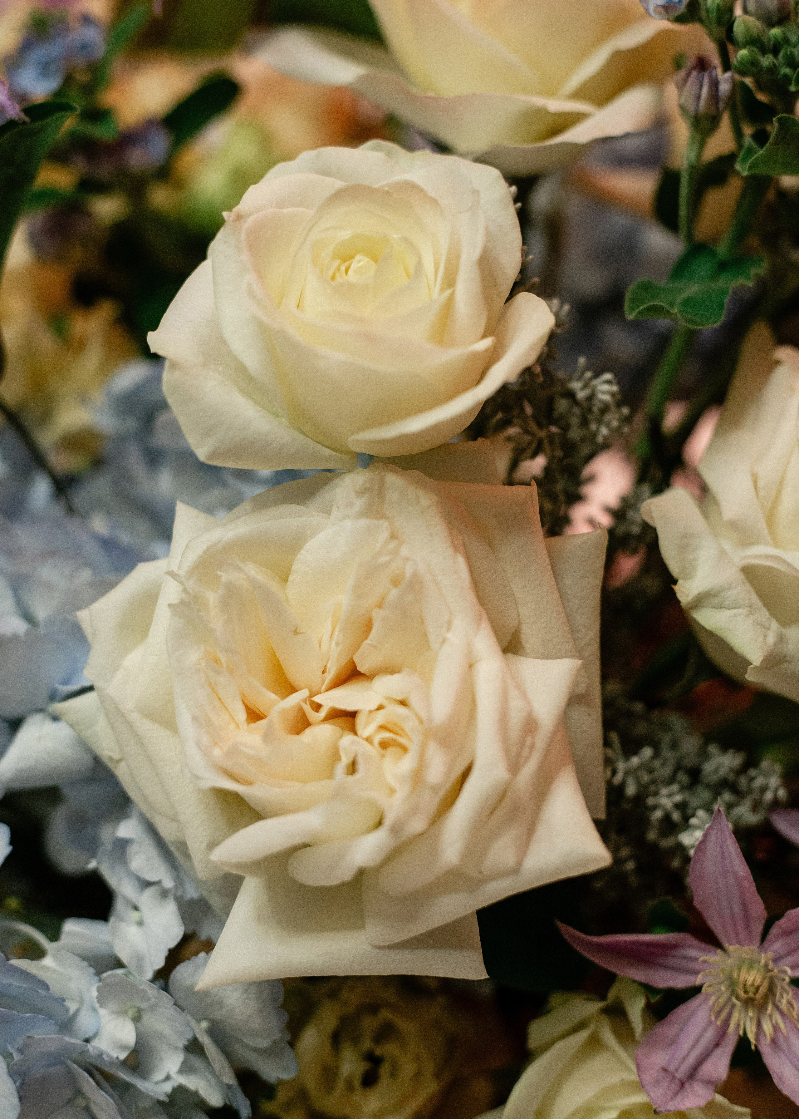 Балзи Росси. Студия декора Подзюм