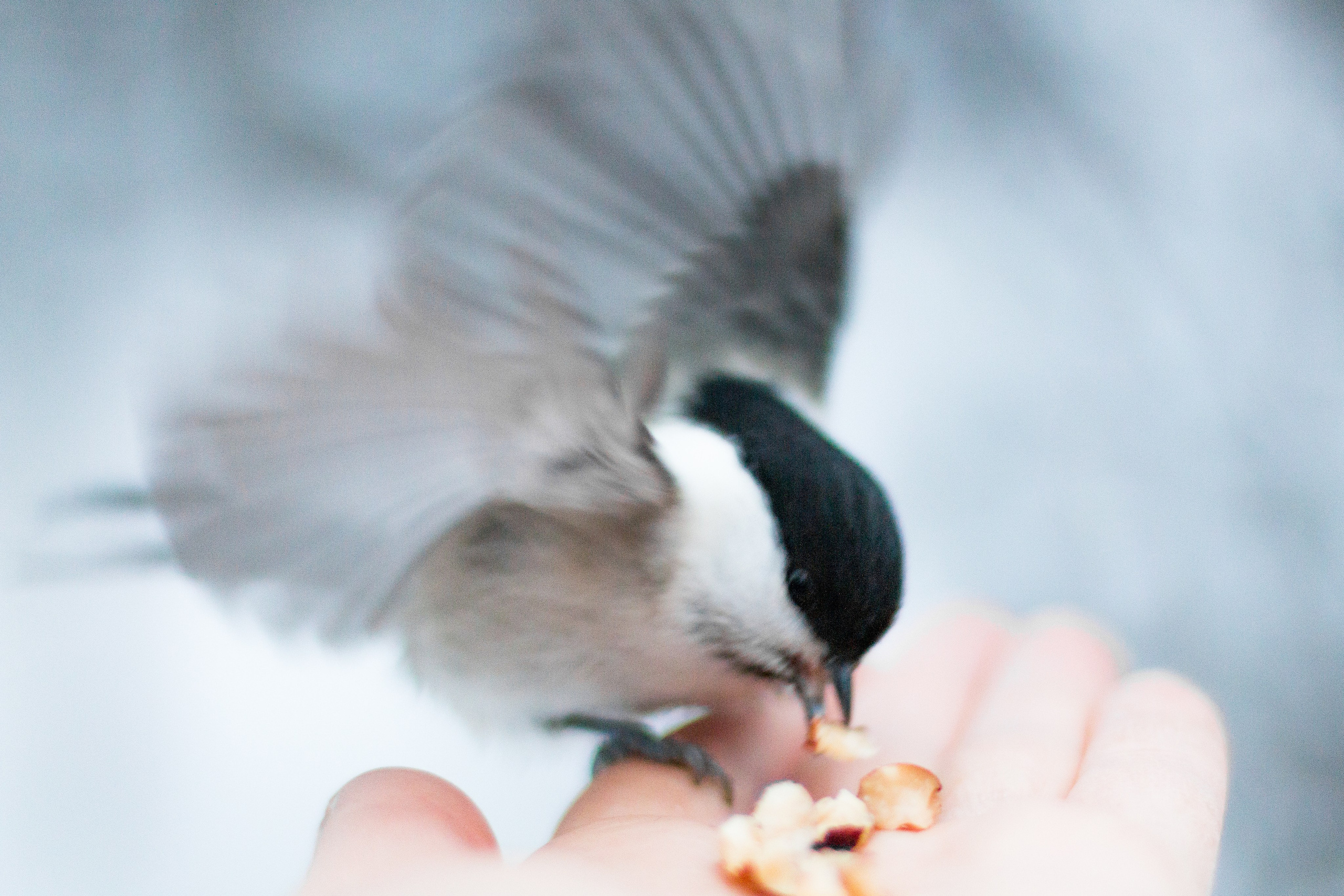 Русский север, Белое море, Архангельск. Фотограф в Сочи