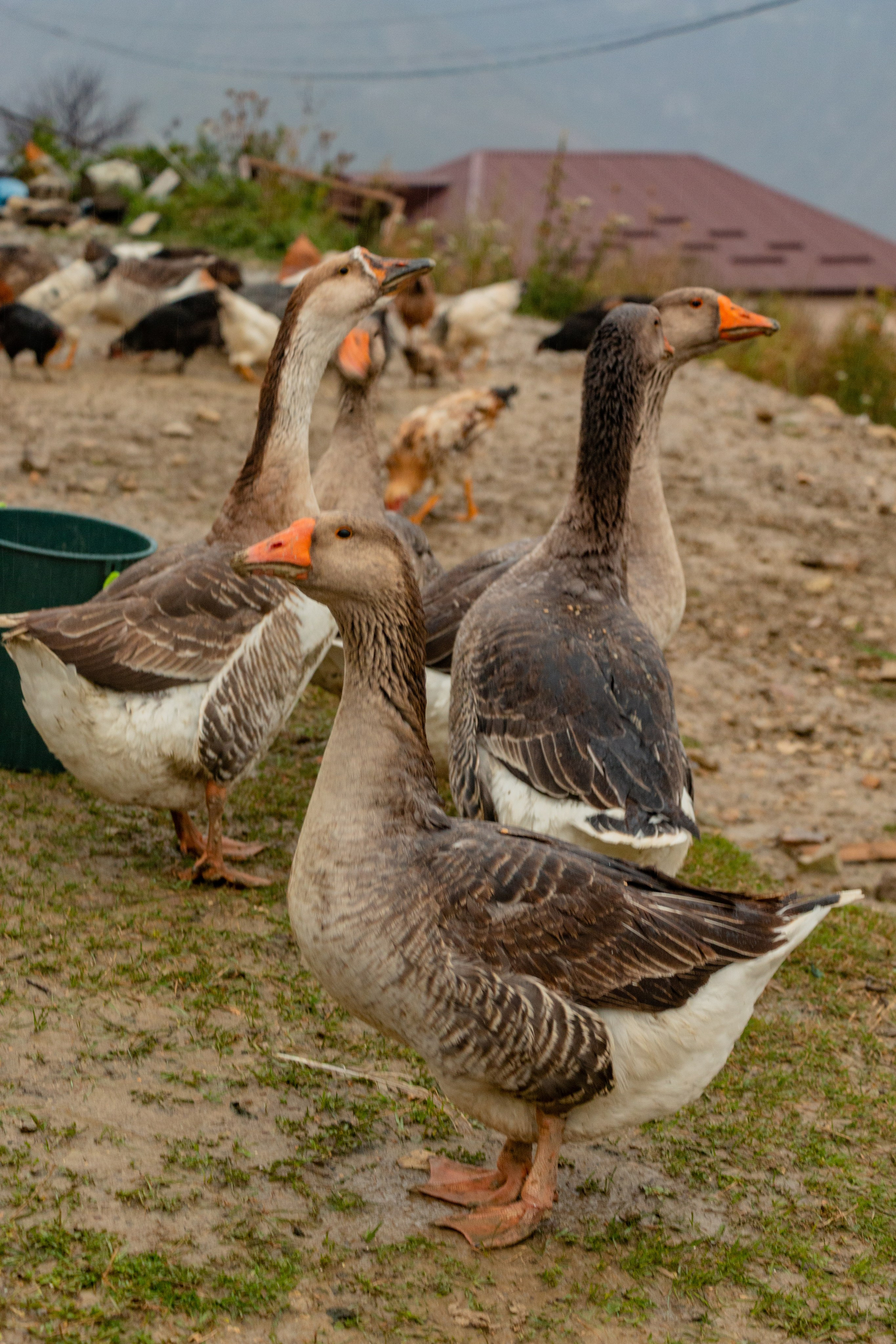 Дагестан. Фотограф в Сочи
