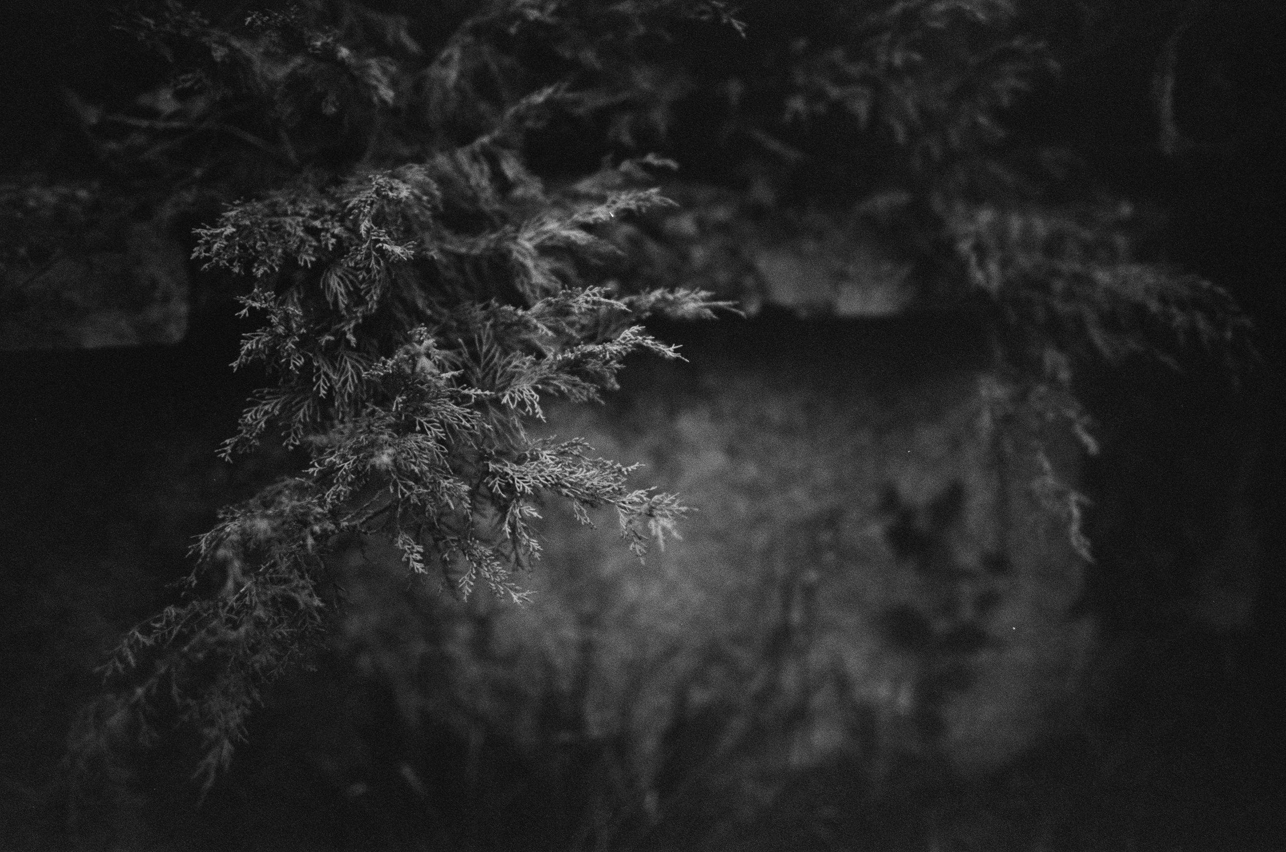 Oblomki chuvstv // ukraine, crimea II. EVER EXPOSED