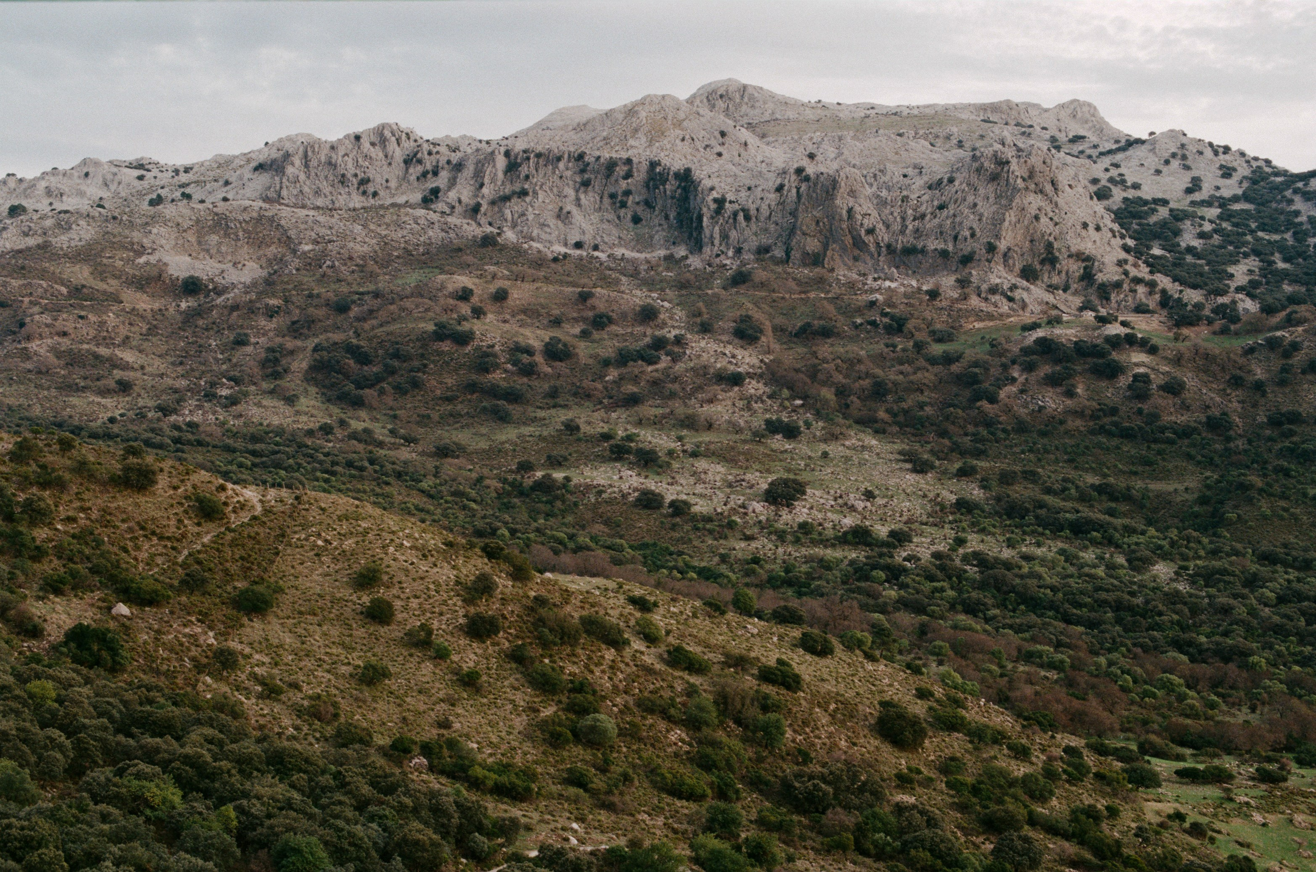 Spanish sahara // spain, seville. EVER EXPOSED