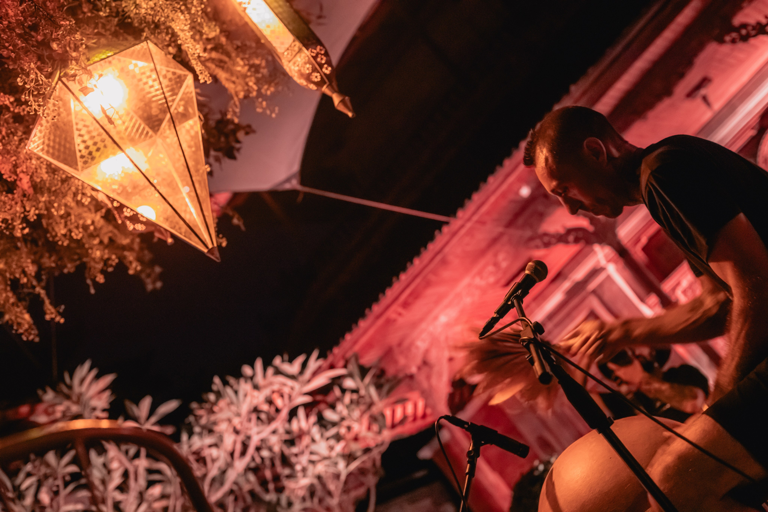 Alegria festival at Zest. Мариам Багдасарян