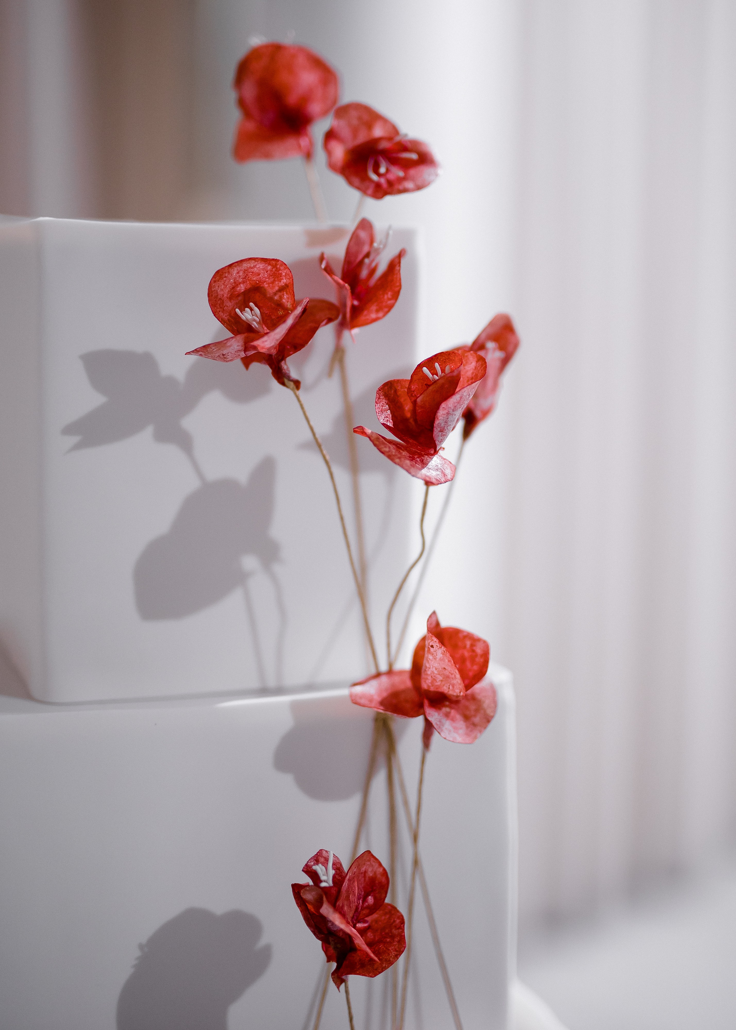 Эля + Тимур. Свадебный и семейный фотограф в Саратове Маша Паника