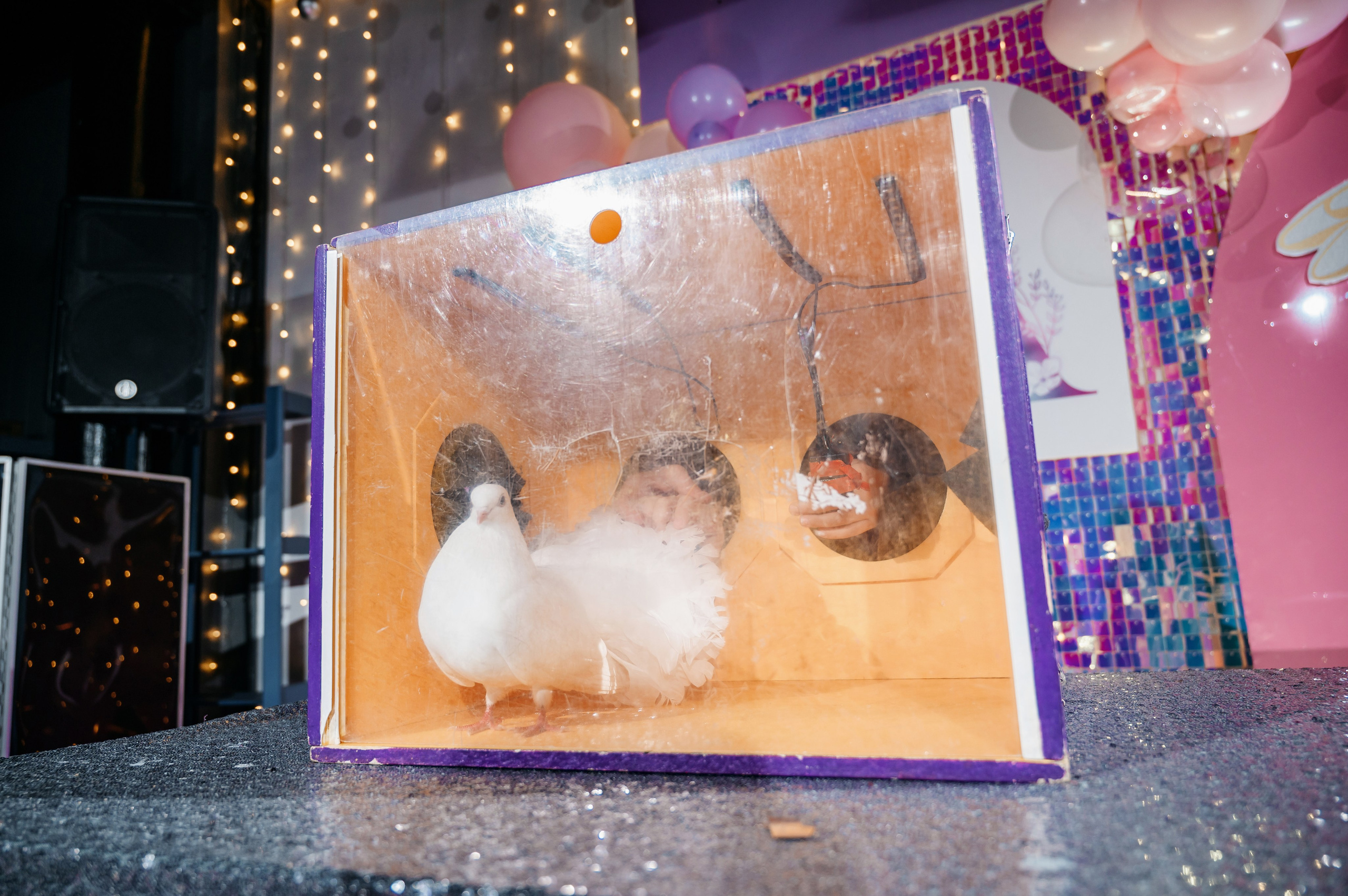 Ангелина. My Little pony. Фотограф Владивосток. Игорь Кирсанов