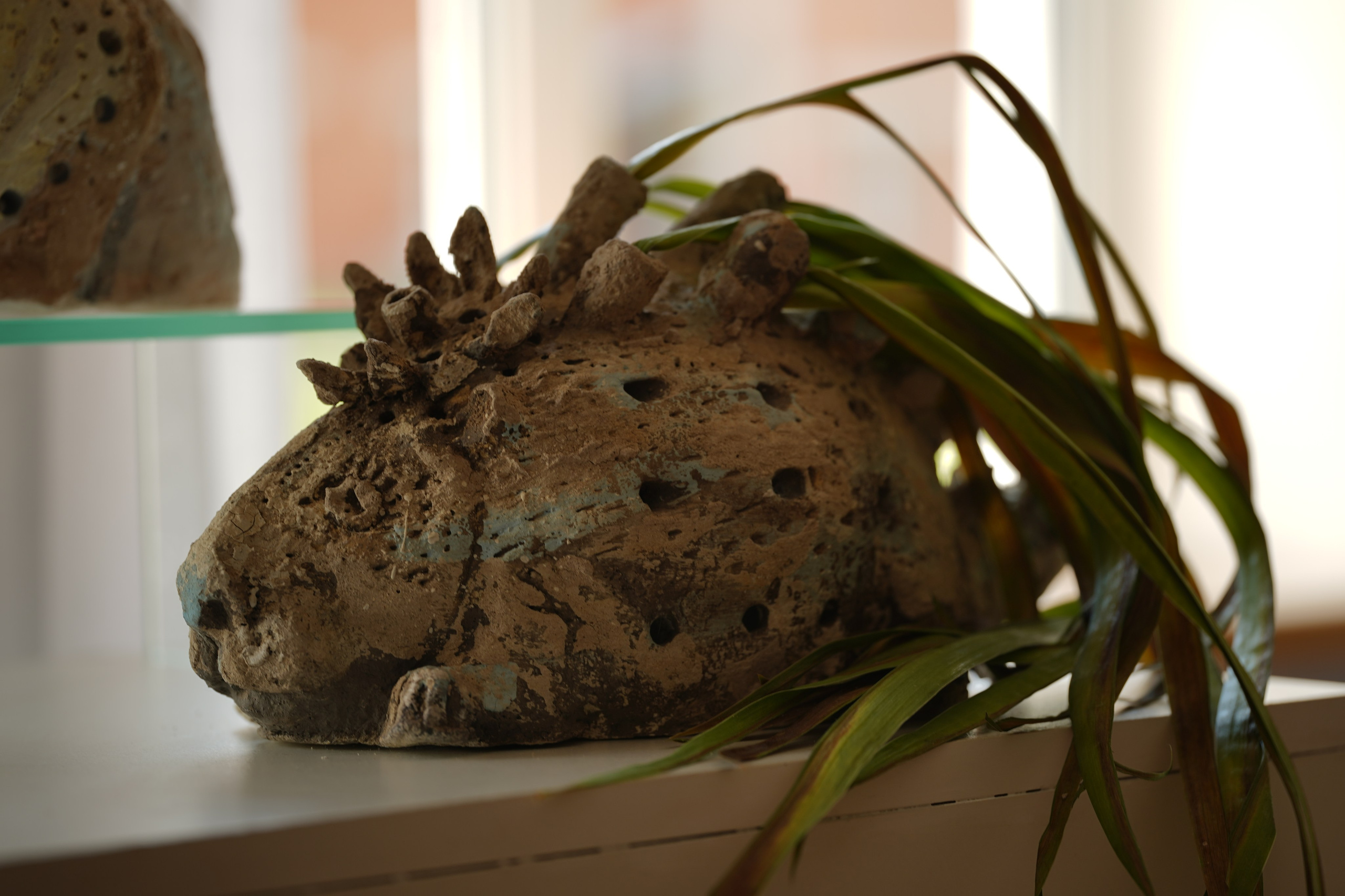 In the footsteps of Wild Fire 2022 — По следам Дикого Огня 2022