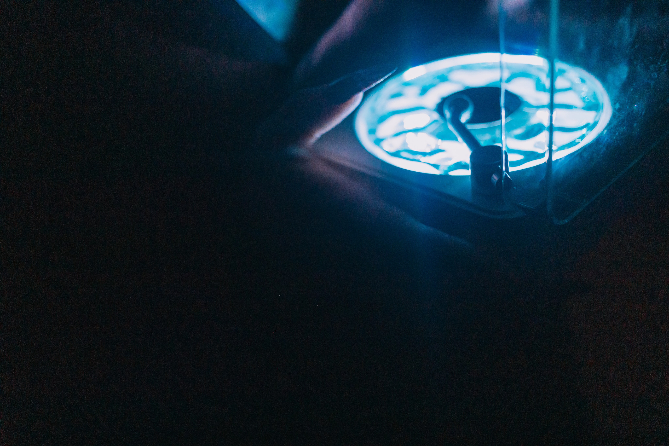 Темный дворецкий. Репортажный фотограф Анастасия Головко