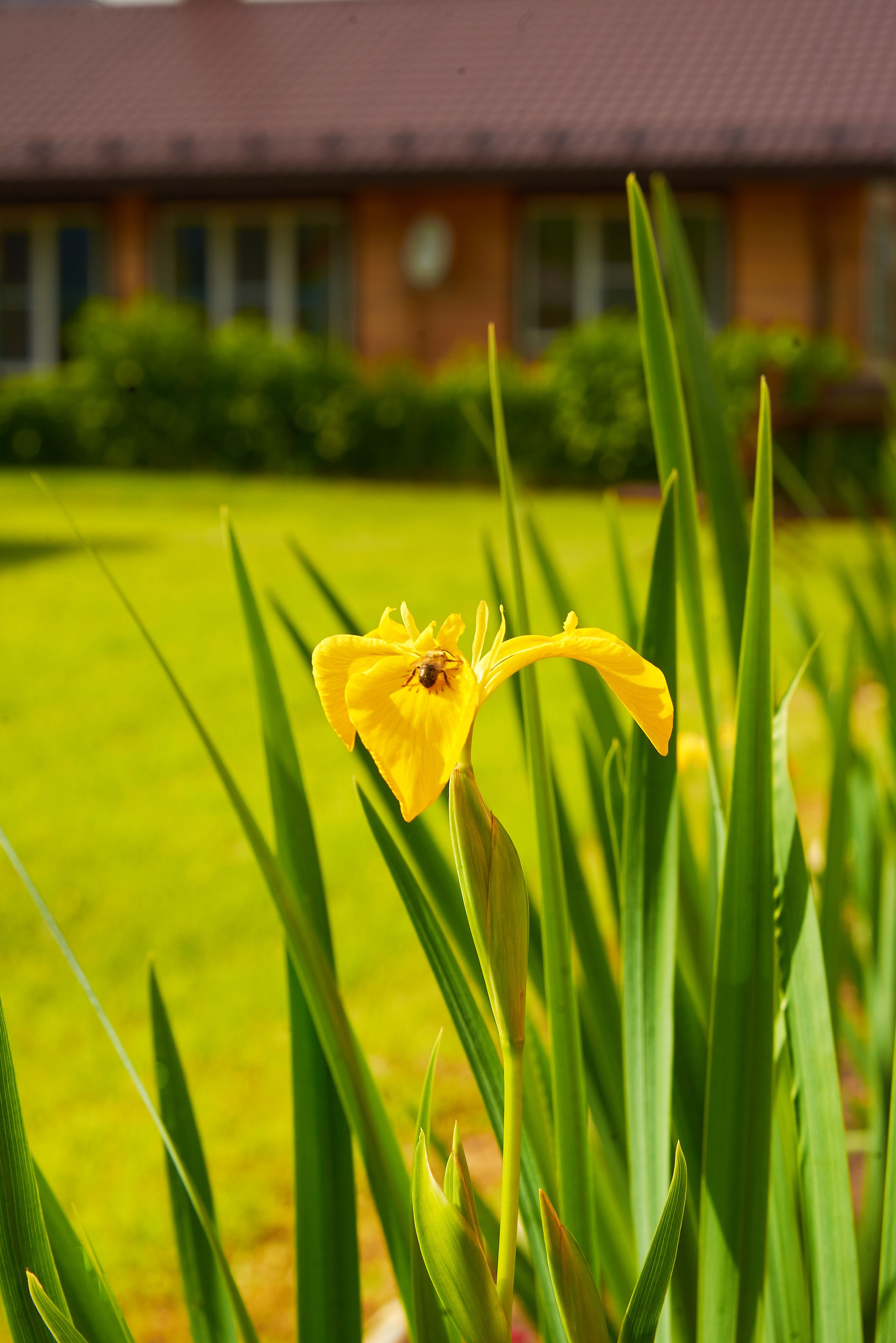 Усадьба «Литопур». Семейный фотограф в Барнауле, Горный Алтай, Заринск, Алейск