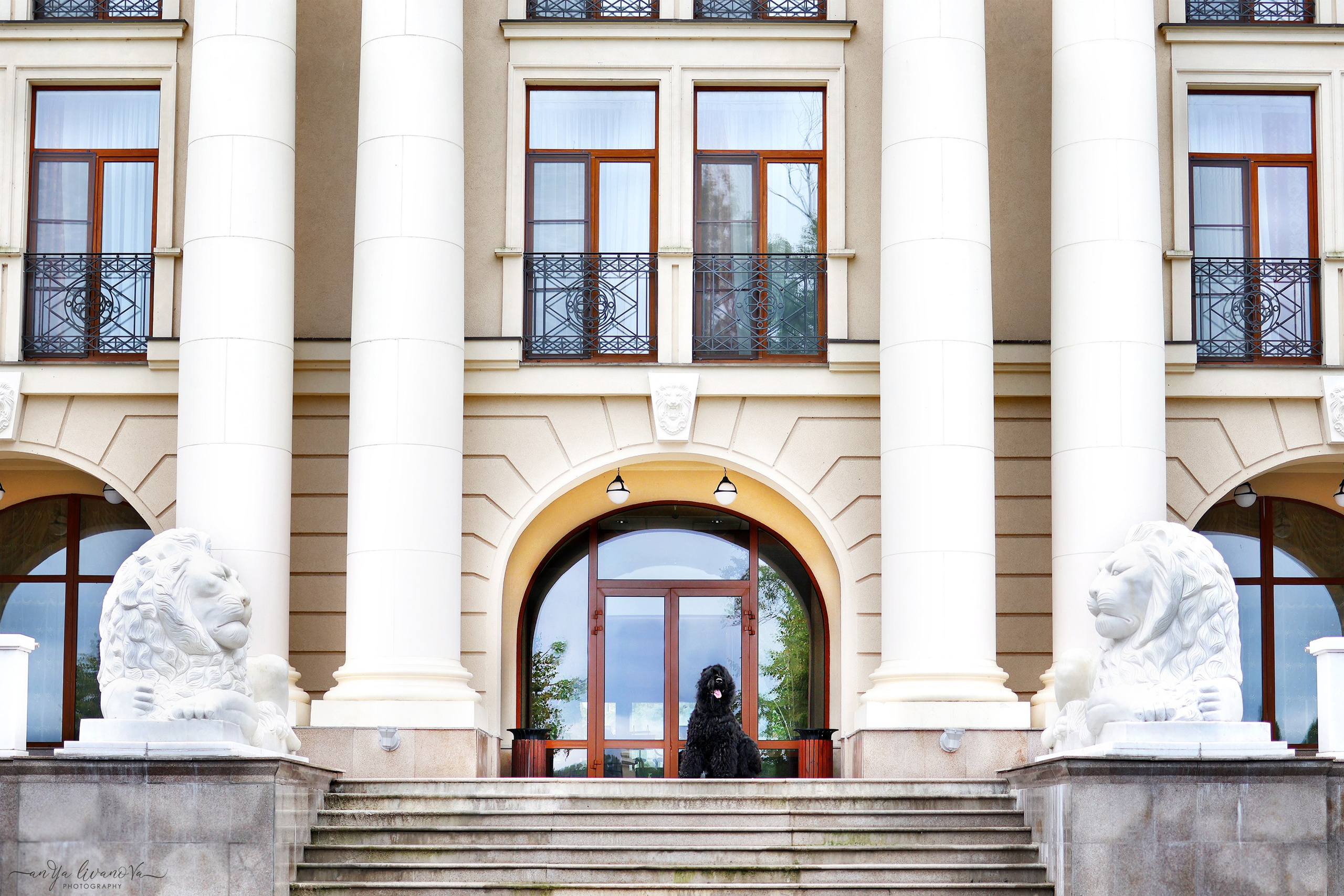РЧТ. Фотограф анималист Аня Ливанова | Рыбинск
