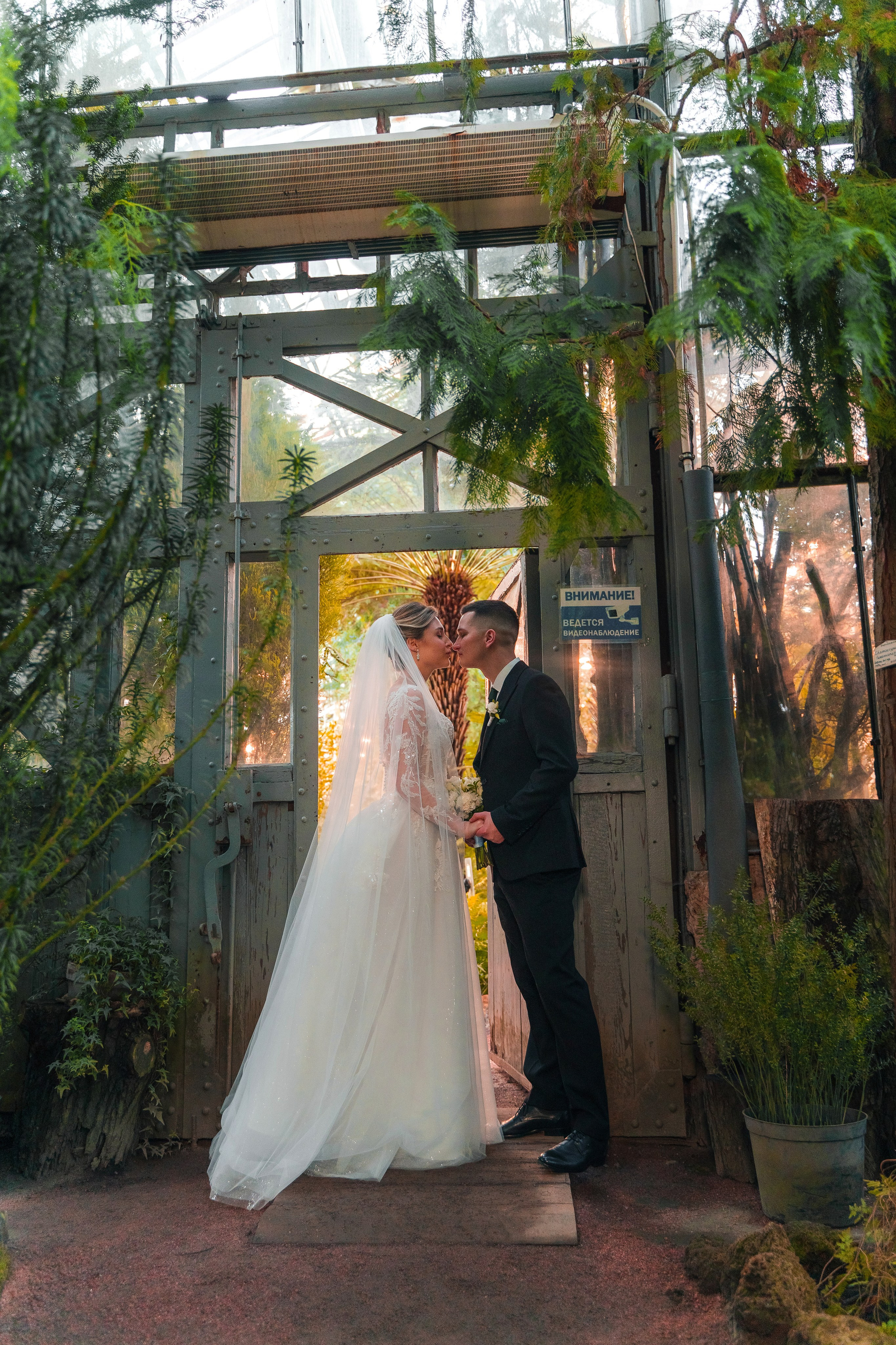 Евгений + Елена