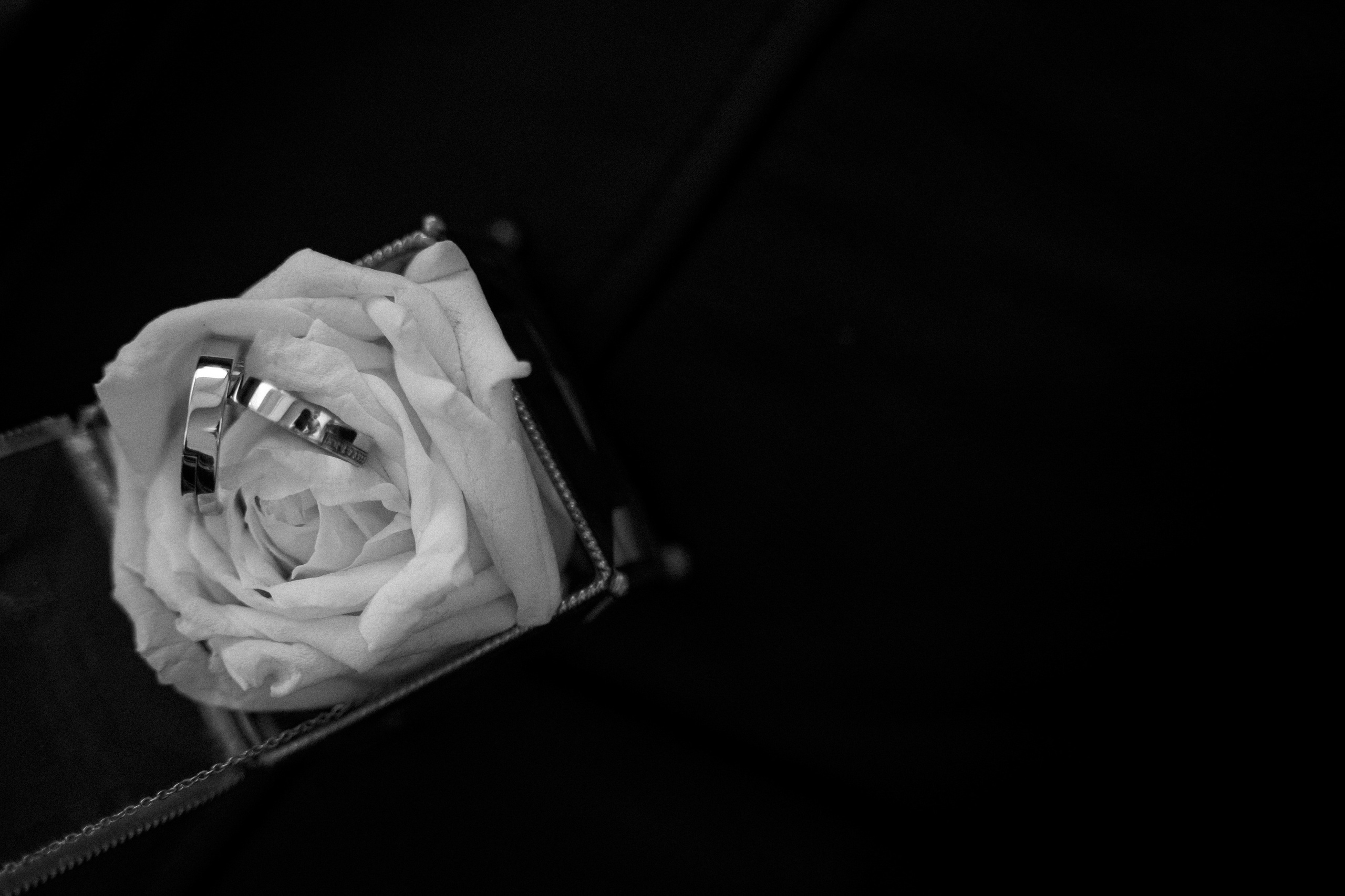 Антон и Оля. Фотограф Екатеринбург