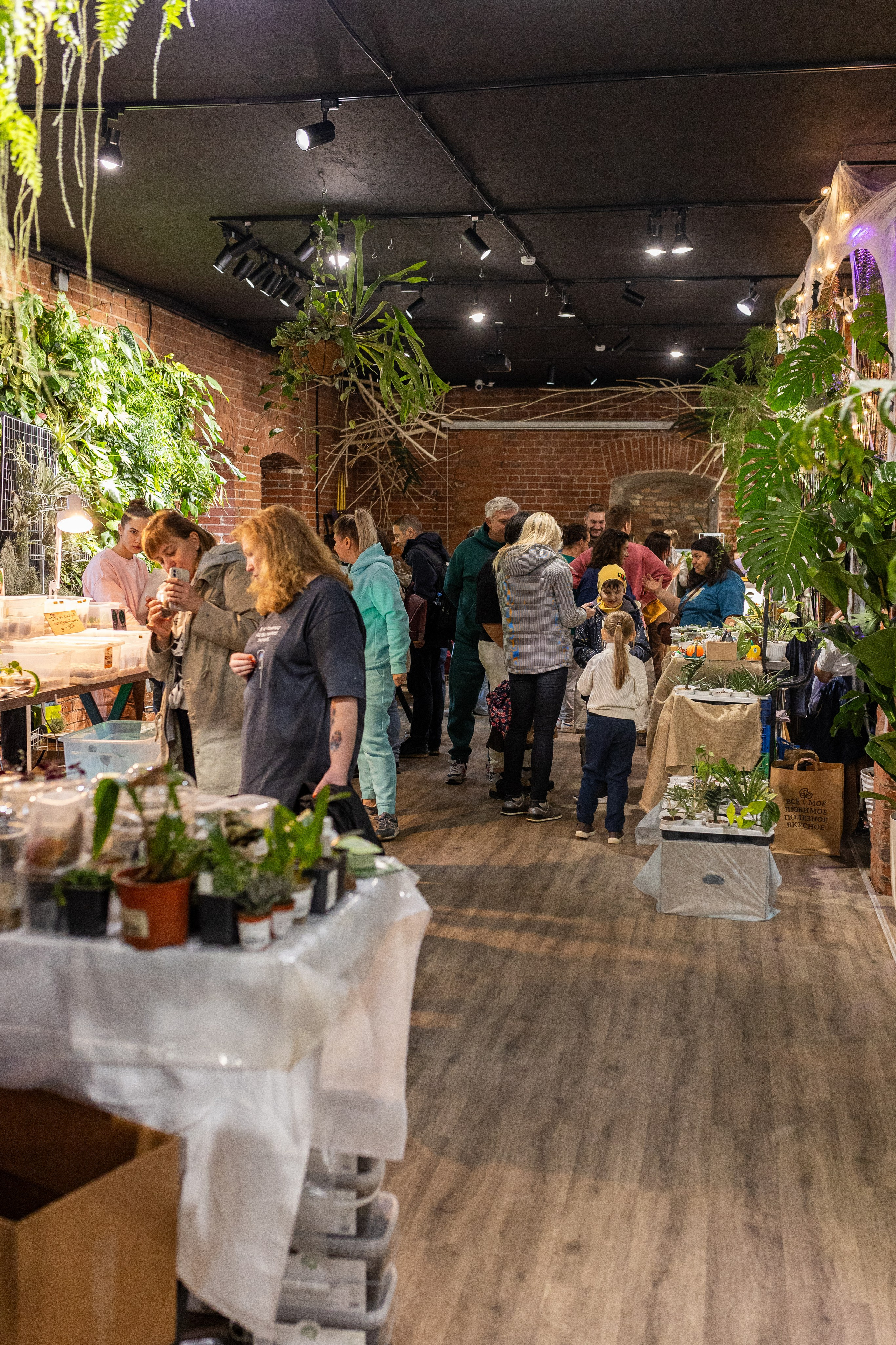 GreenRare ярмарка 2024. Александра Куликова фотограф, Москва