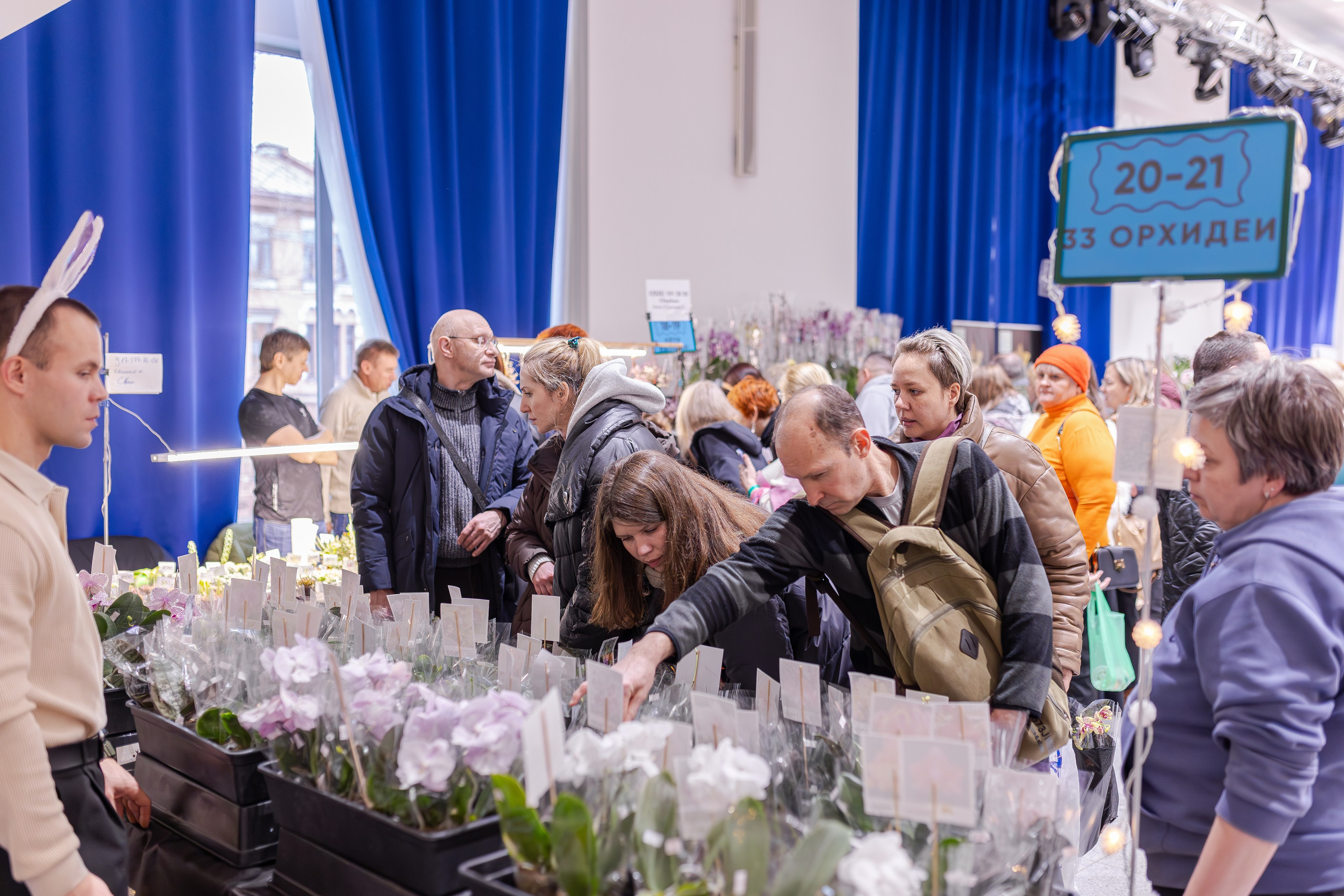 Орхидиум 12.2025. Александра Куликова фотограф, Москва