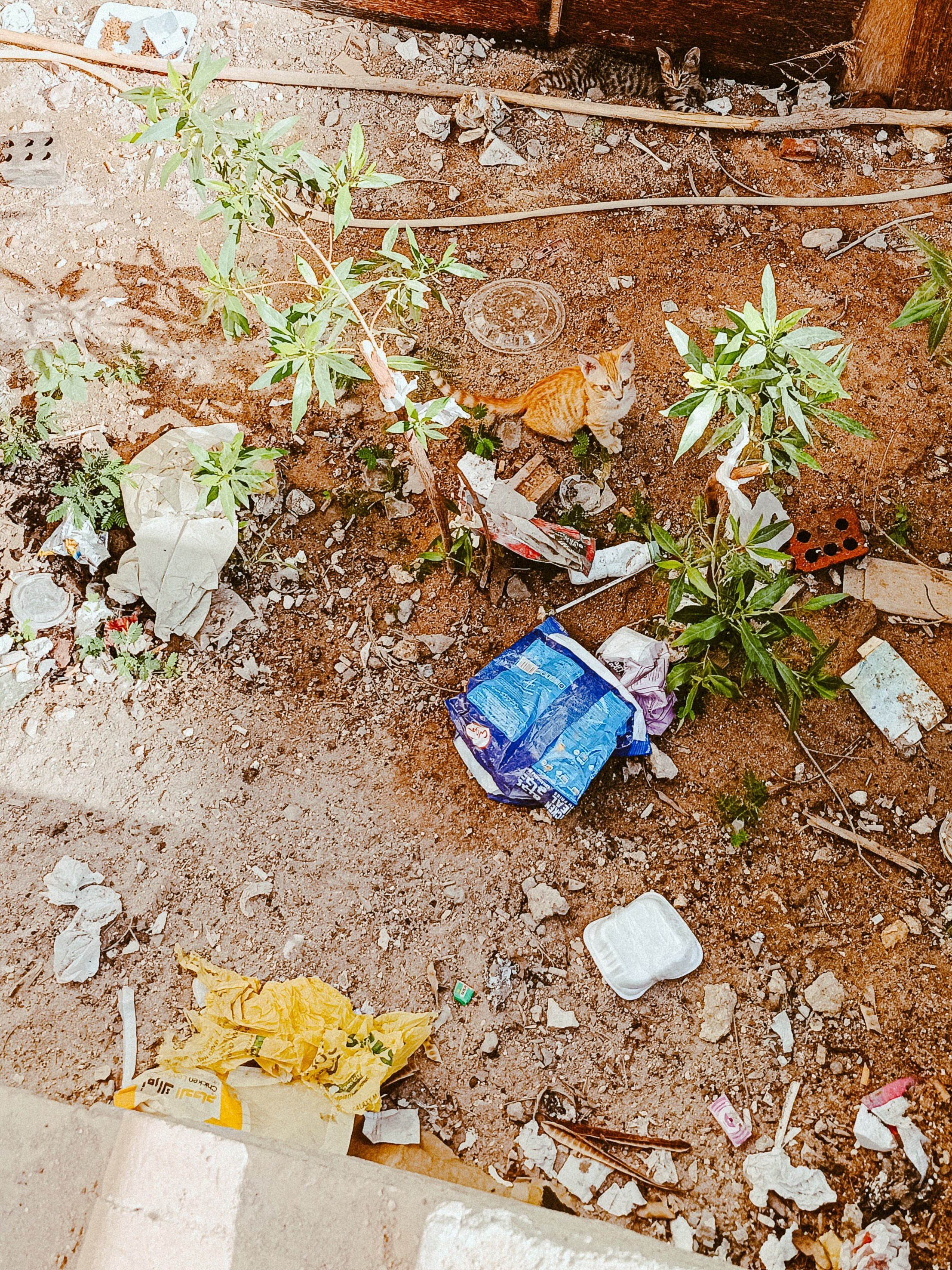 Мобильная. Jorgis — фотограф в Хургаде / обучение фотографии