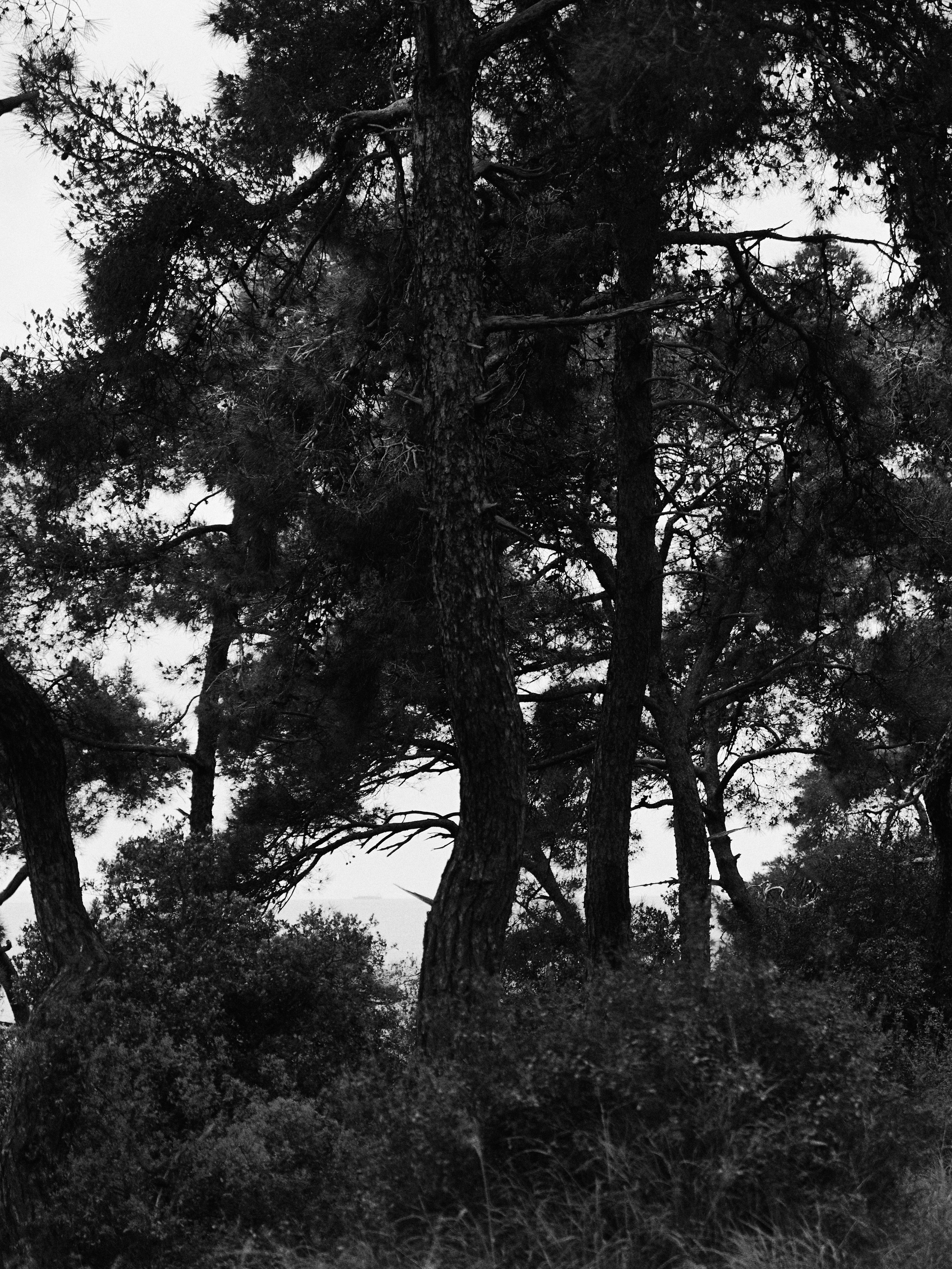 B&W. Jorgis — фотограф в Хургаде / обучение фотографии