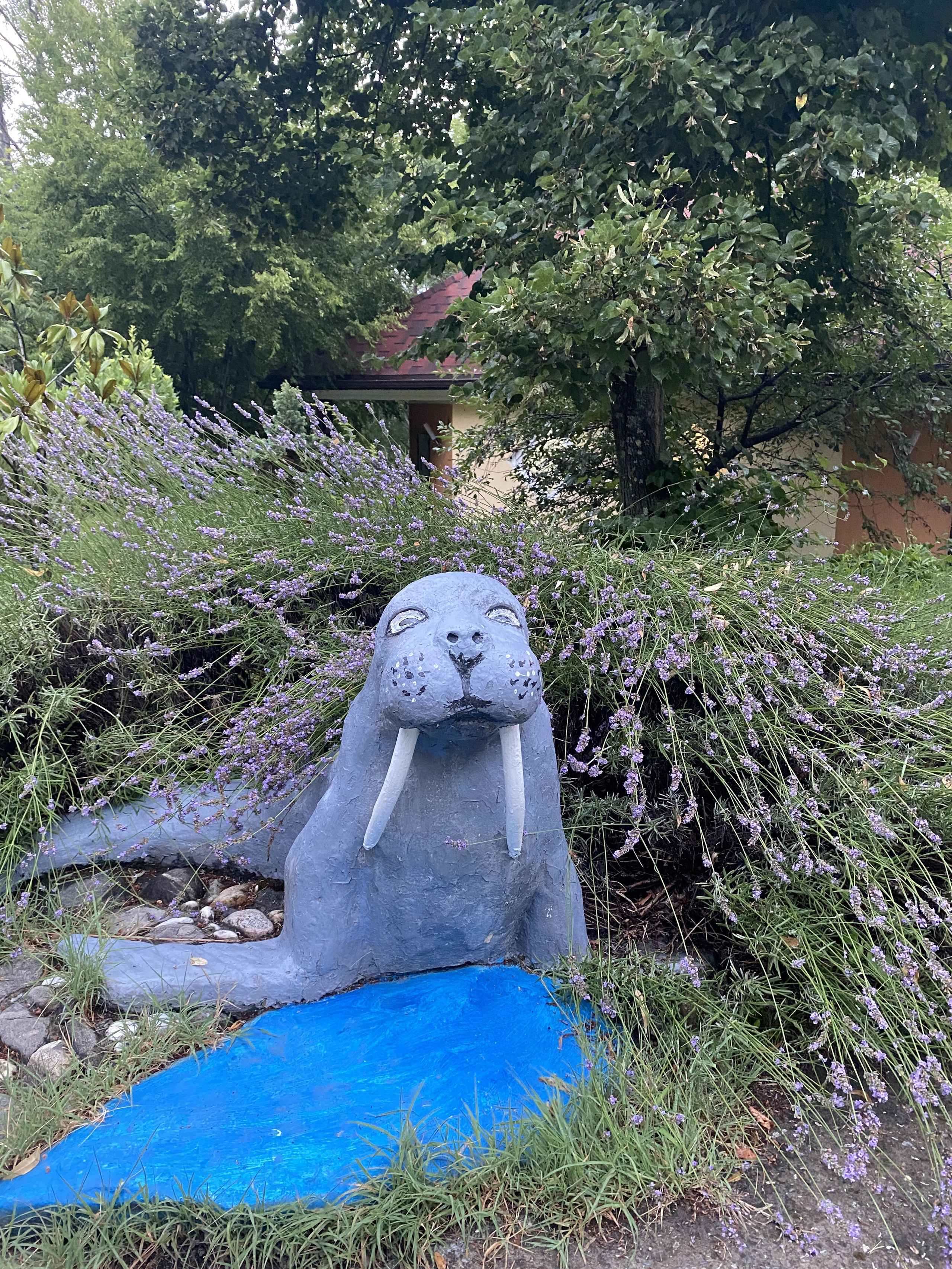 Тренинг лагерь. Галерея ПрофАС