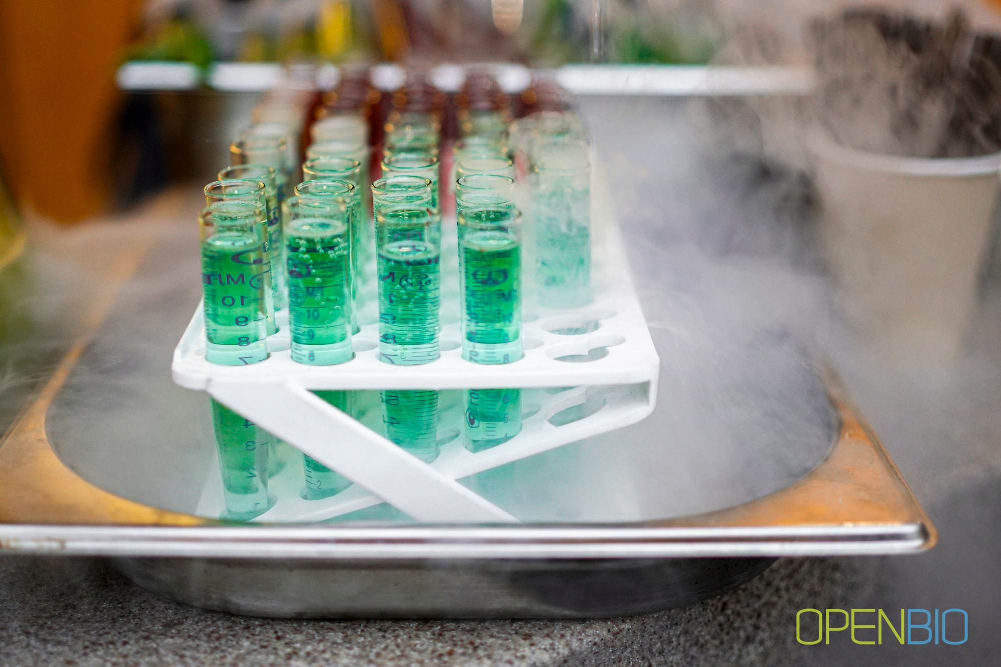 OpenBio | Форум 2024. #фотокаквкино | Фотографирую людей