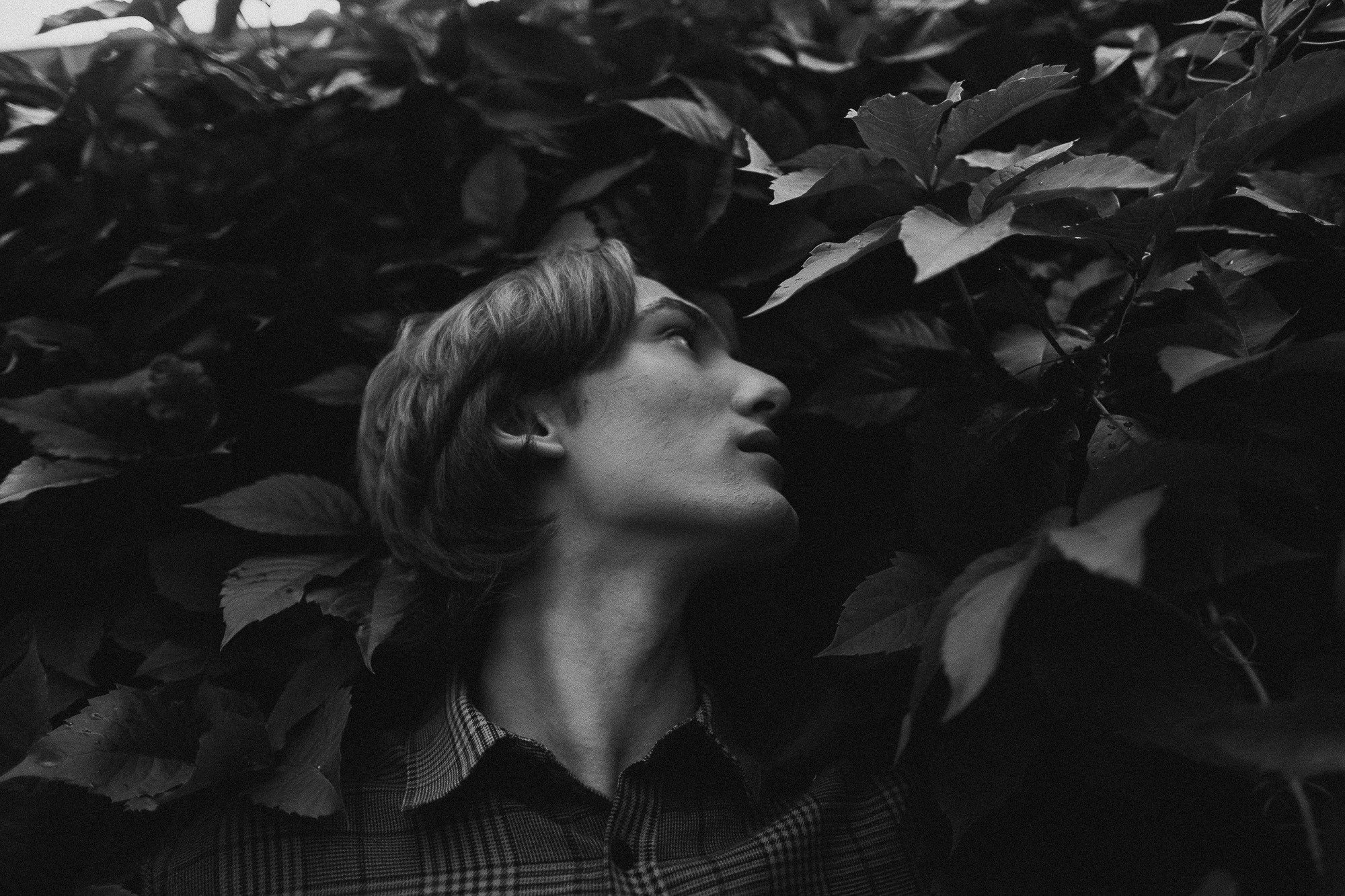 ОДА К ПРИРОДЕ. Фотограф Андрей Копий. Фотосъёмка в Нижнем Новгороде и Москве