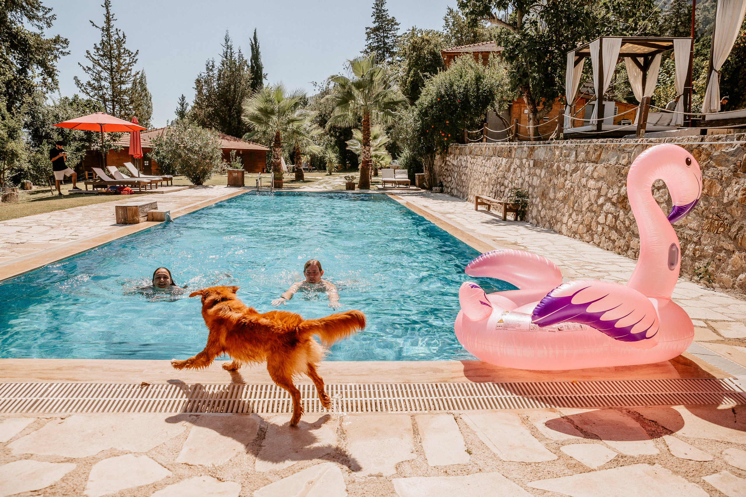 История Таи и Ромы