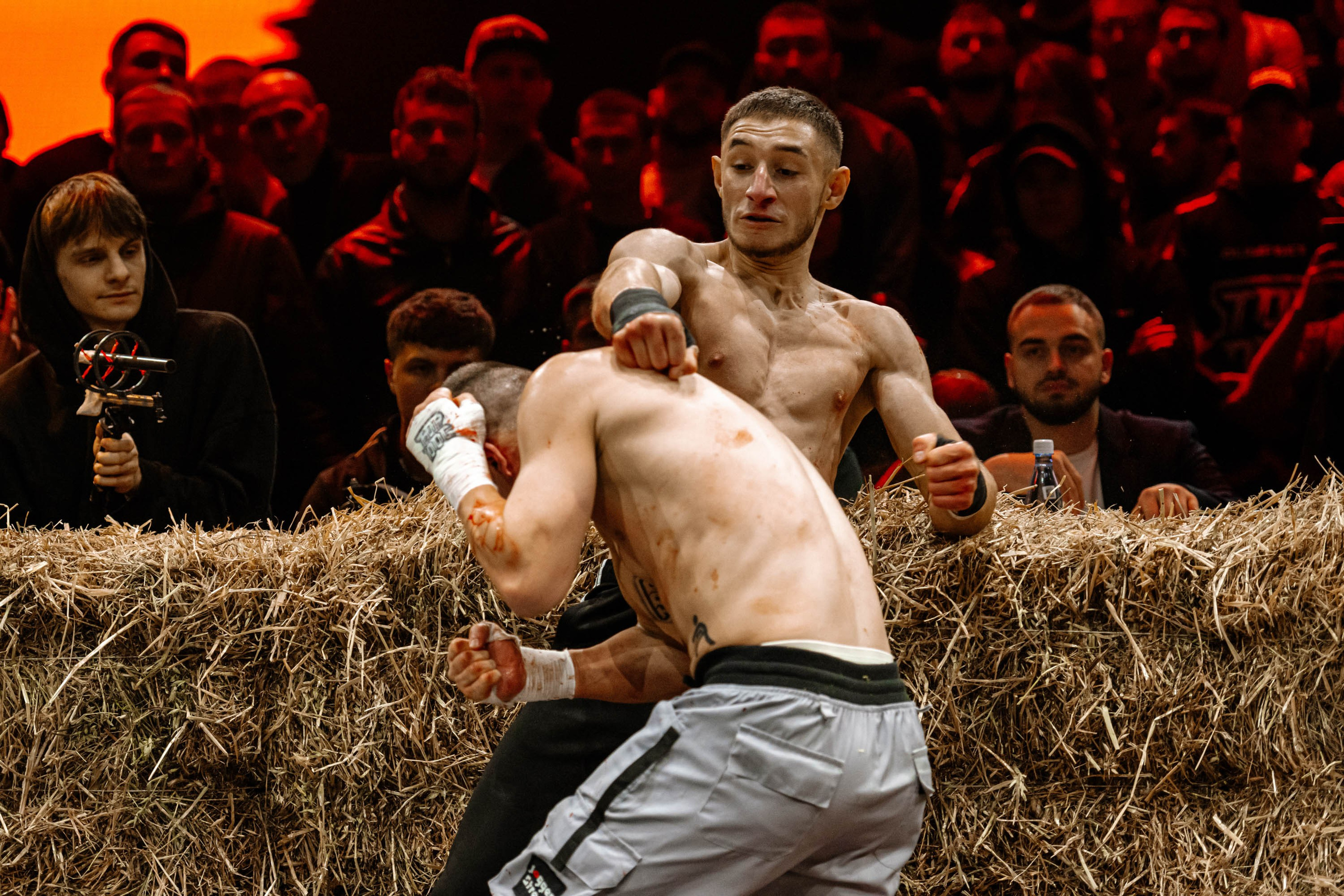 TOP DOG. Максим Комаров — Профессиональный фотограф