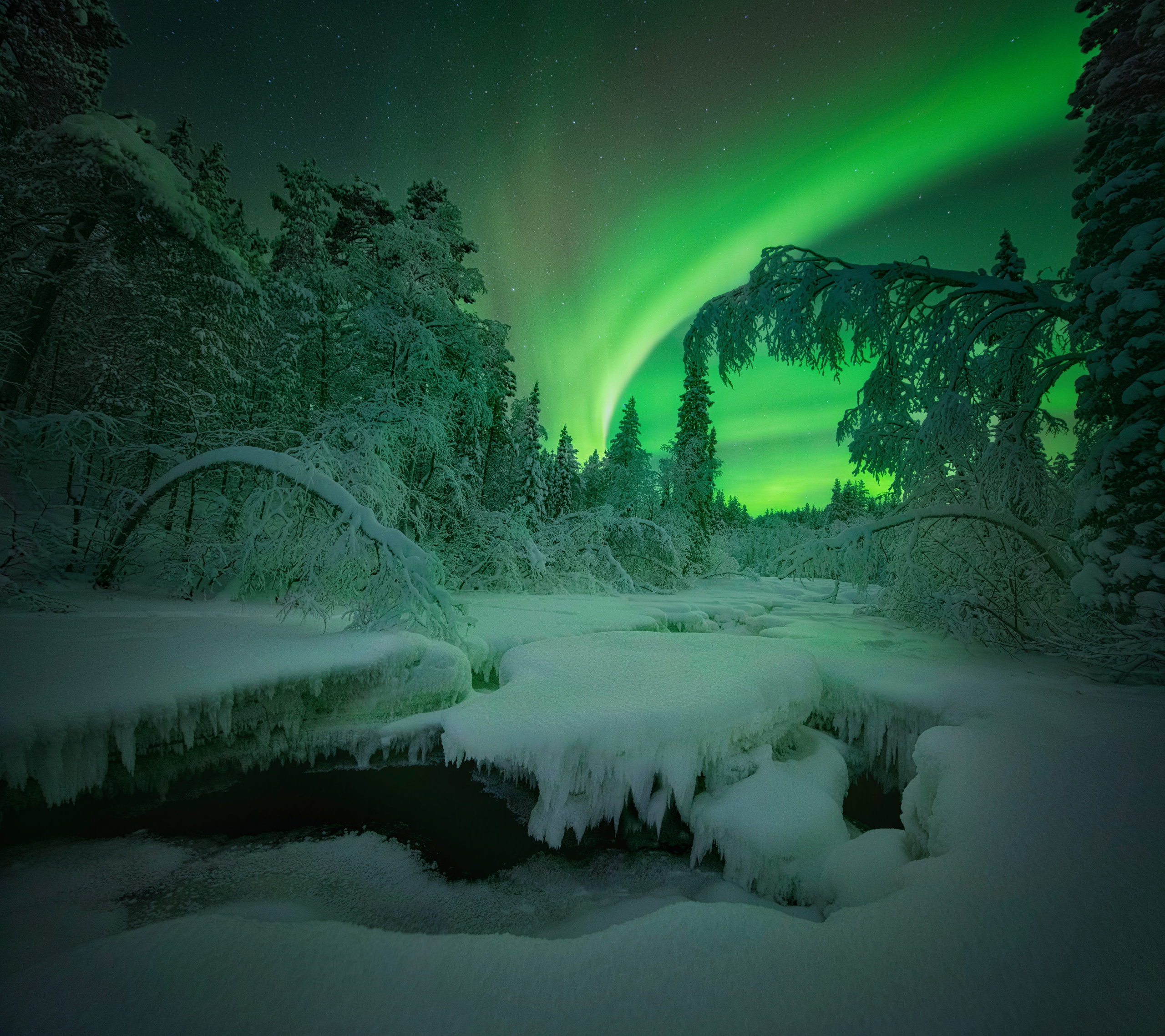 Пейзажный фотограф Ермолина Елена