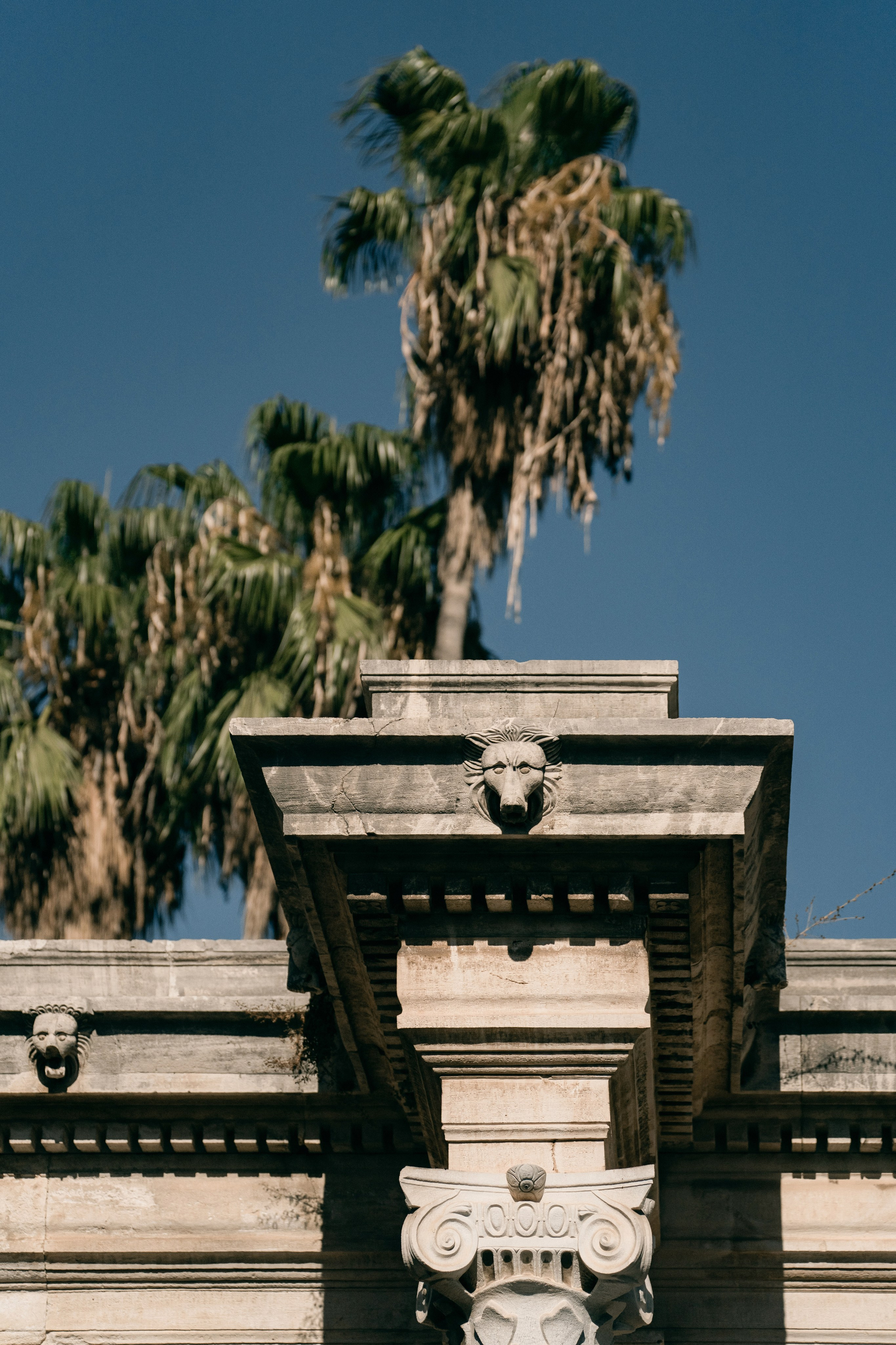 A German wedding among palms. Wedding & Documentary Photographer based in Nuremberg — available across Europe & Turkey | Vitalii Nasonov
