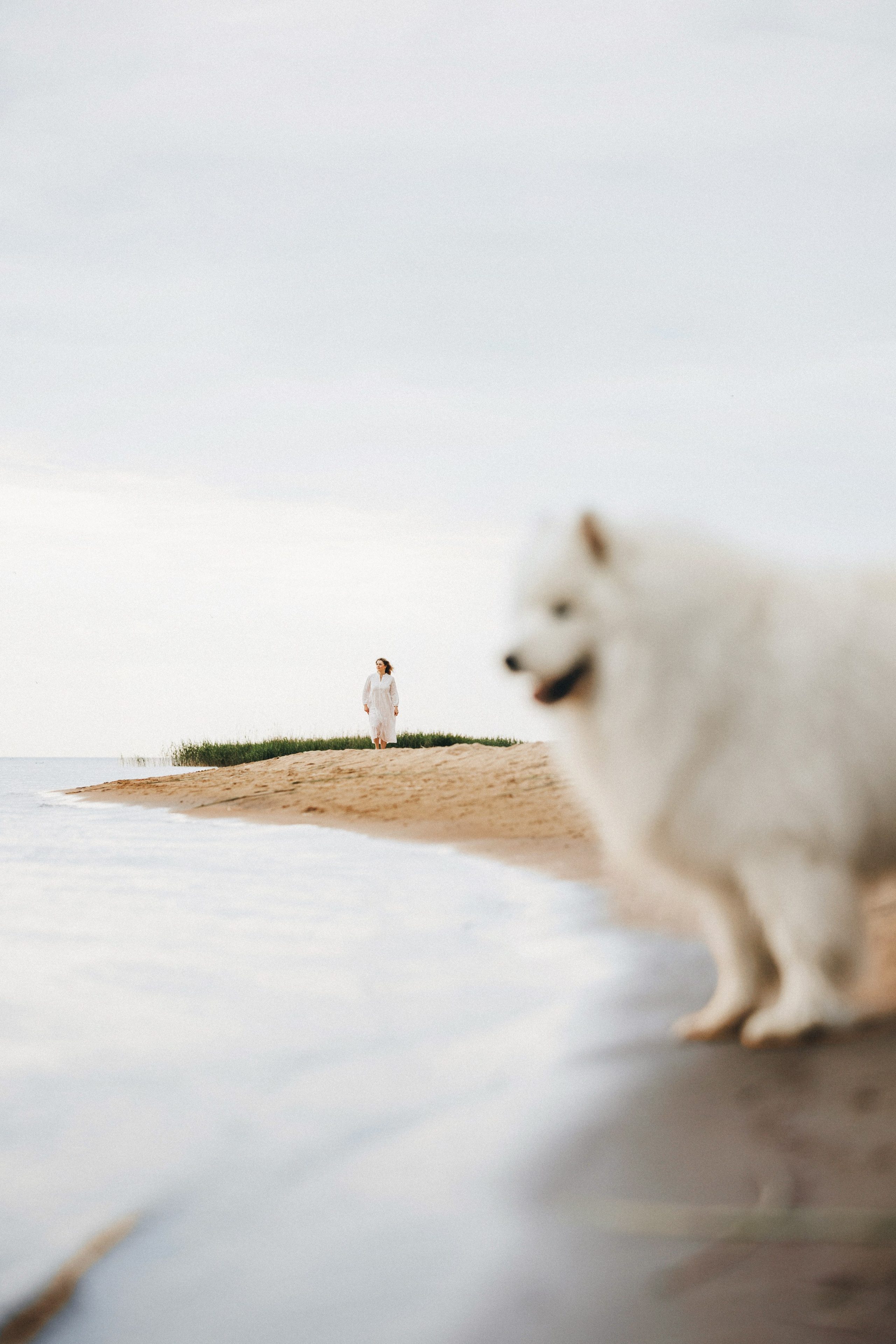 Женя и Цезарь. Фотограф анималист Осипчикова Мария