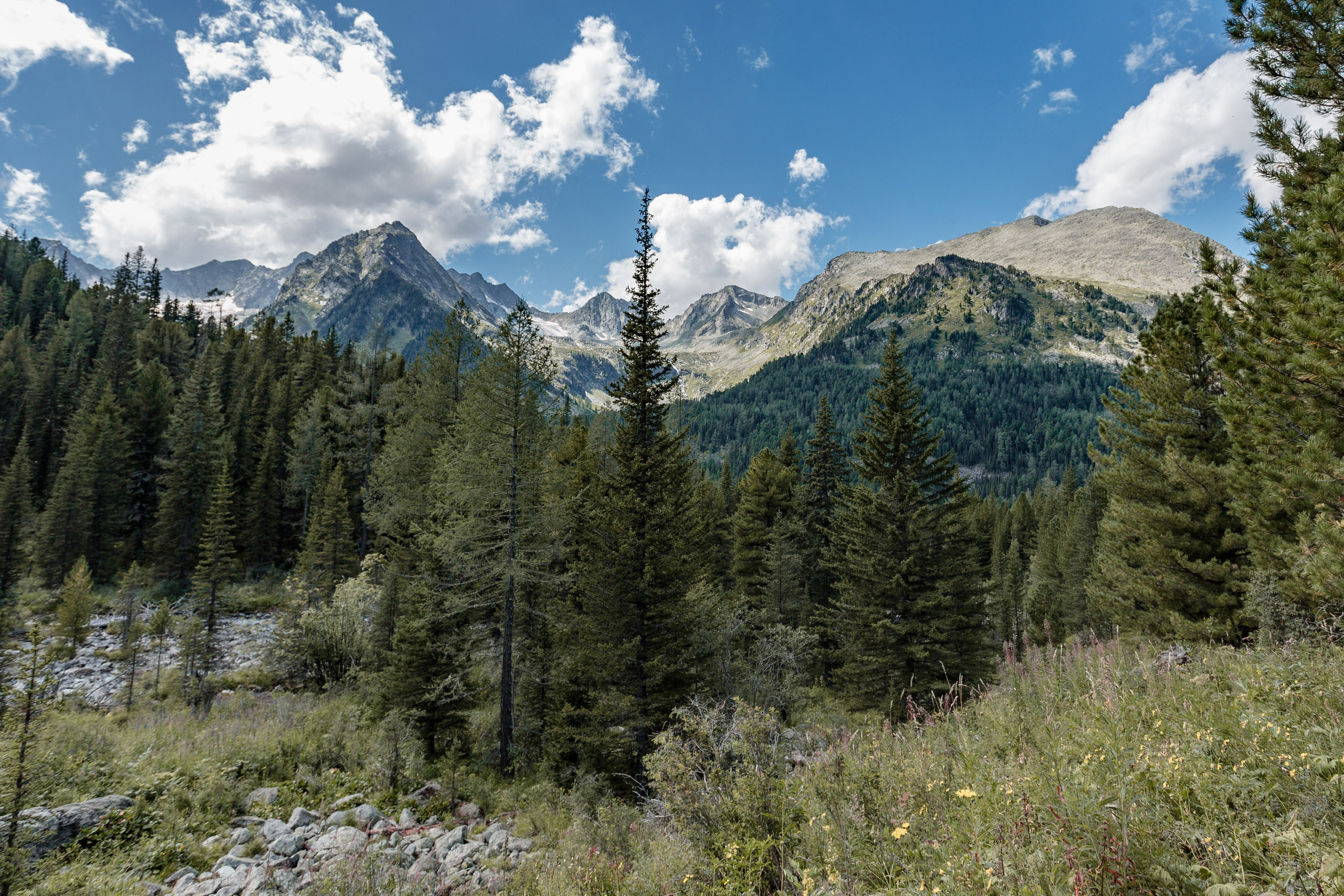 Катунский заповедник, Республика Алтай. Репортажный фотограф в Крыму Ксения Гасица