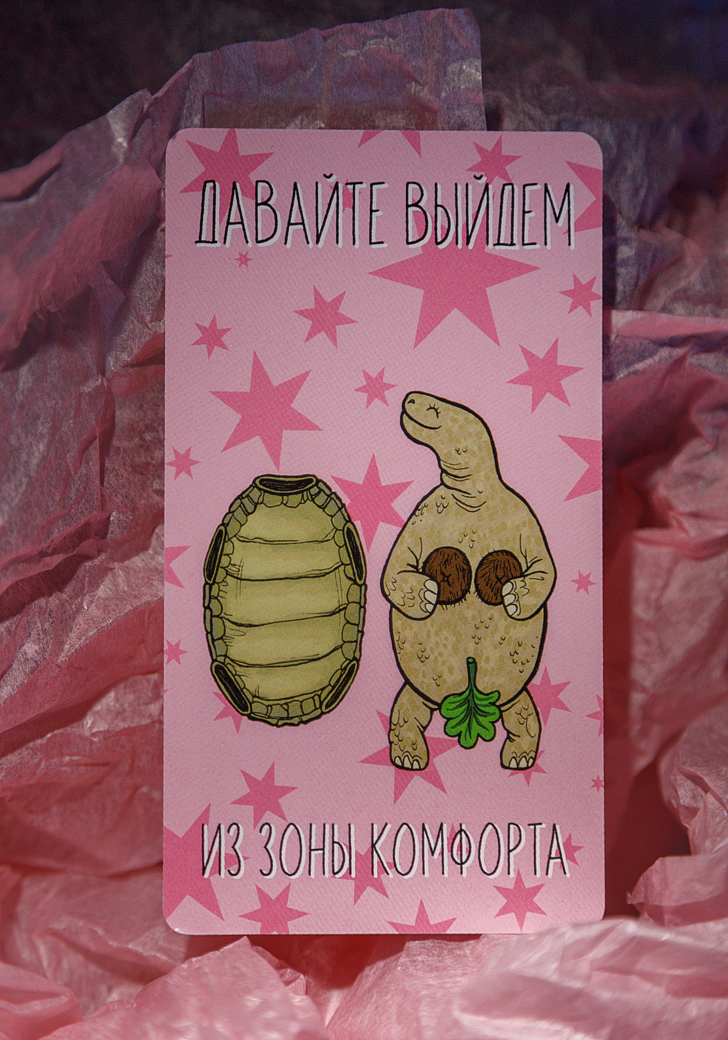 Проект «366»|2024|Фото каждый день. LENA GRACE photographer ||ЛЕНА ГРЭЙС фотограф