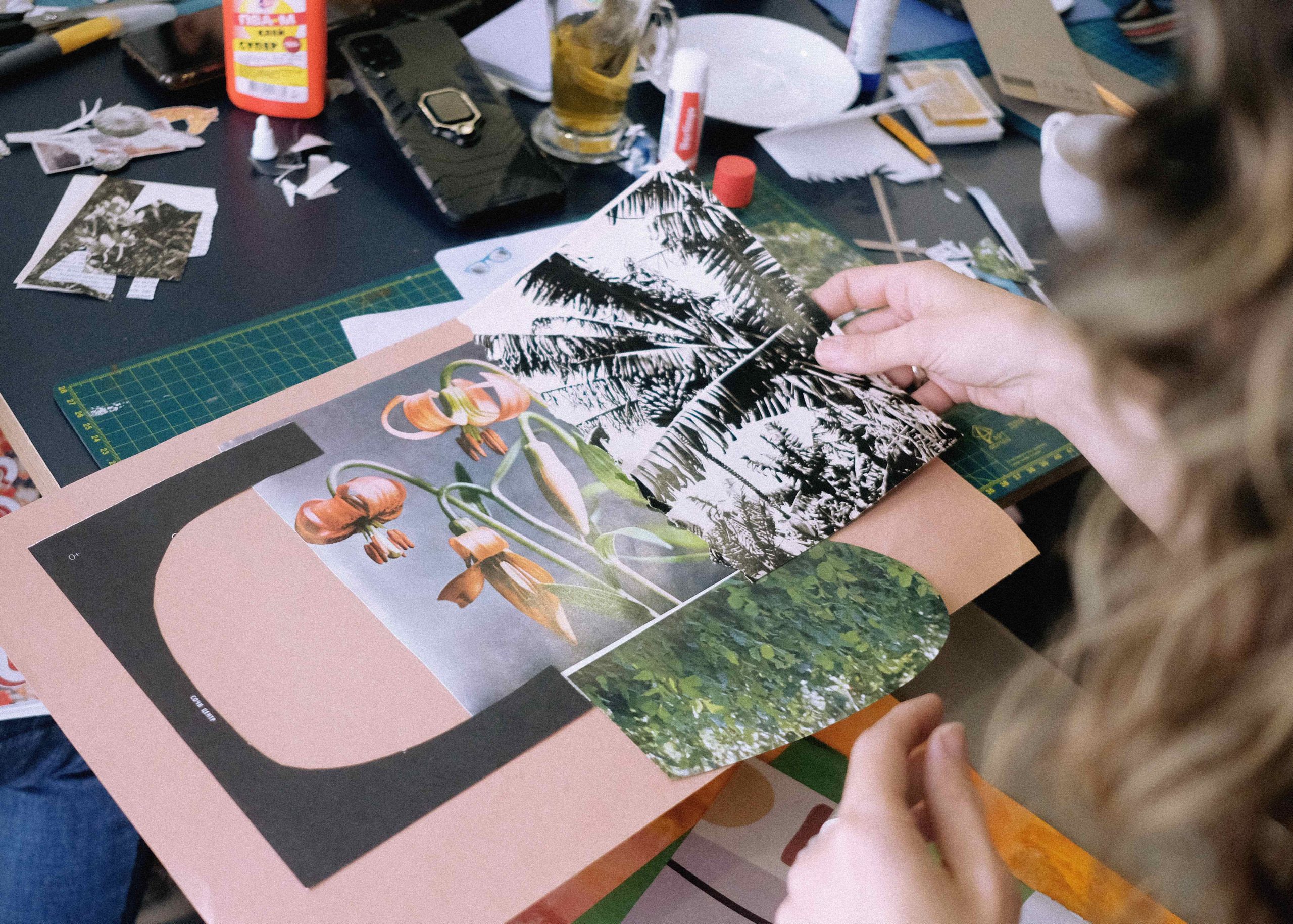 Выставка «Эндемики и реликты Западного Кавказа». Курортное дело